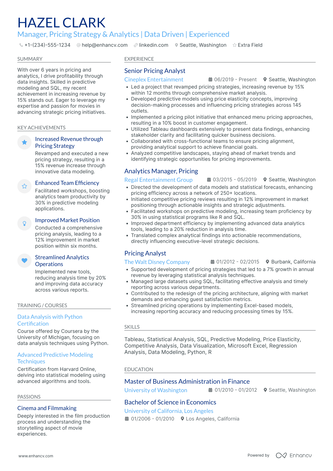 Pricing Strategy Manager Resume Example