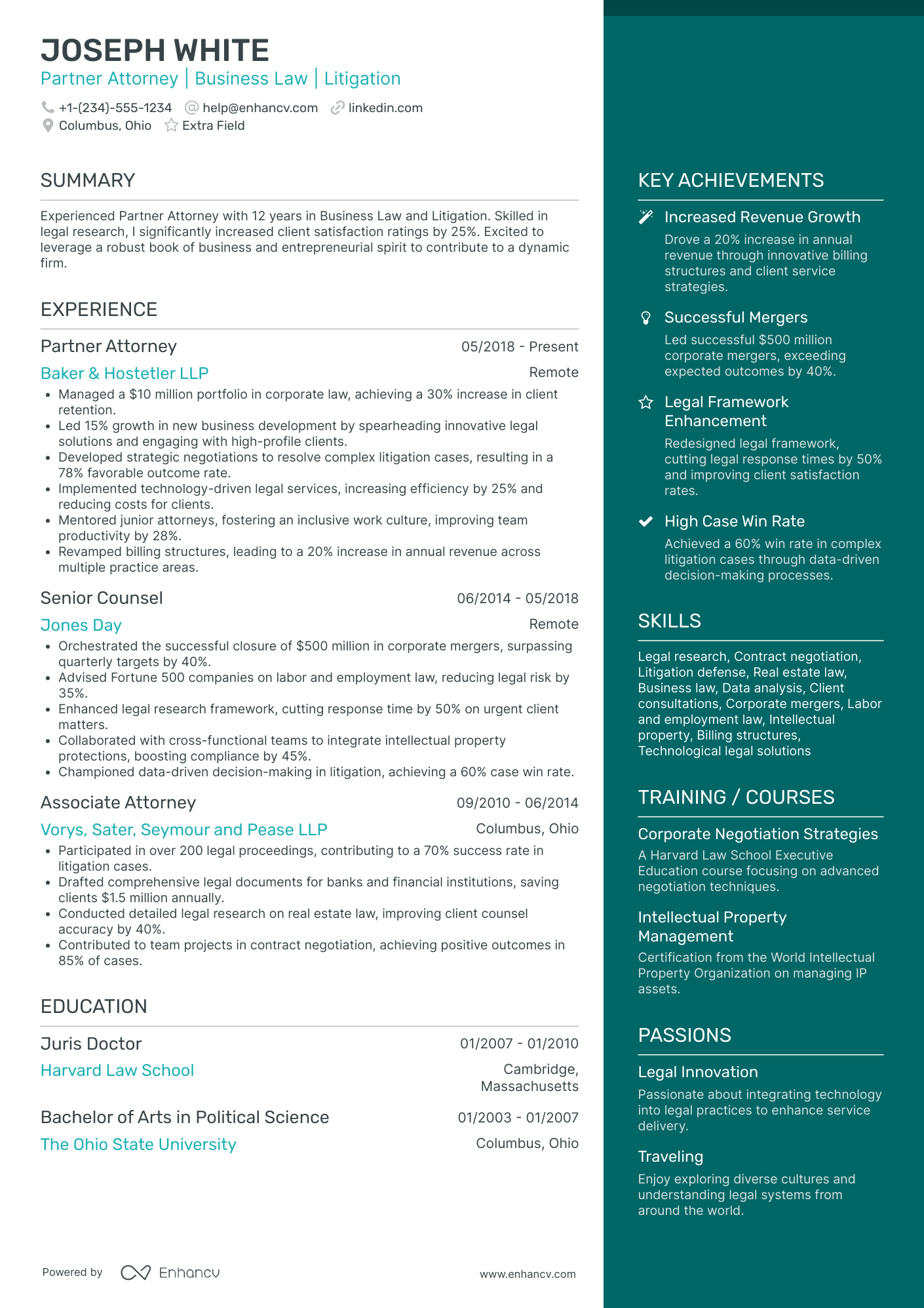 Partner Lawyer Resume Example