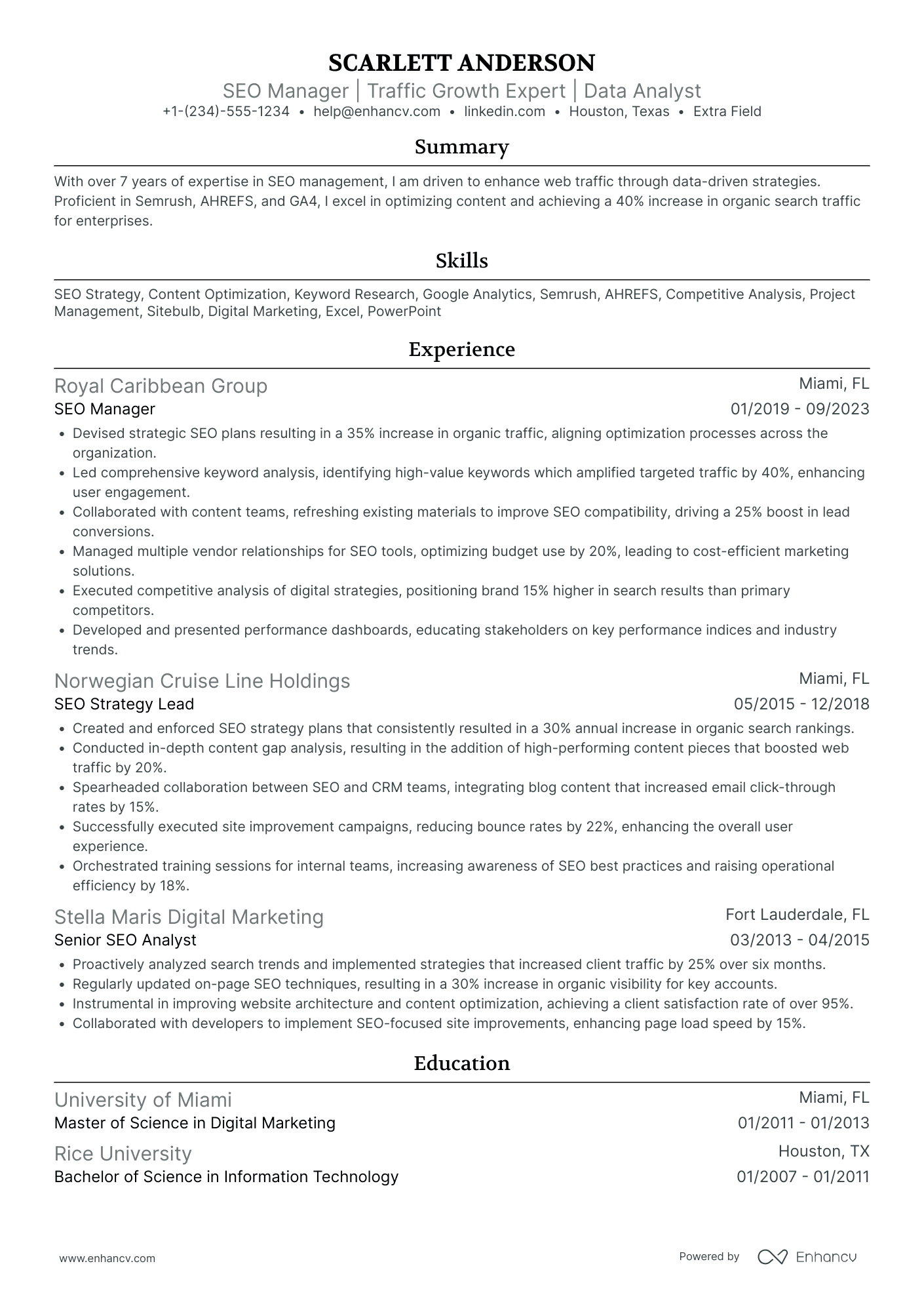 SEO Project Manager Resume Example