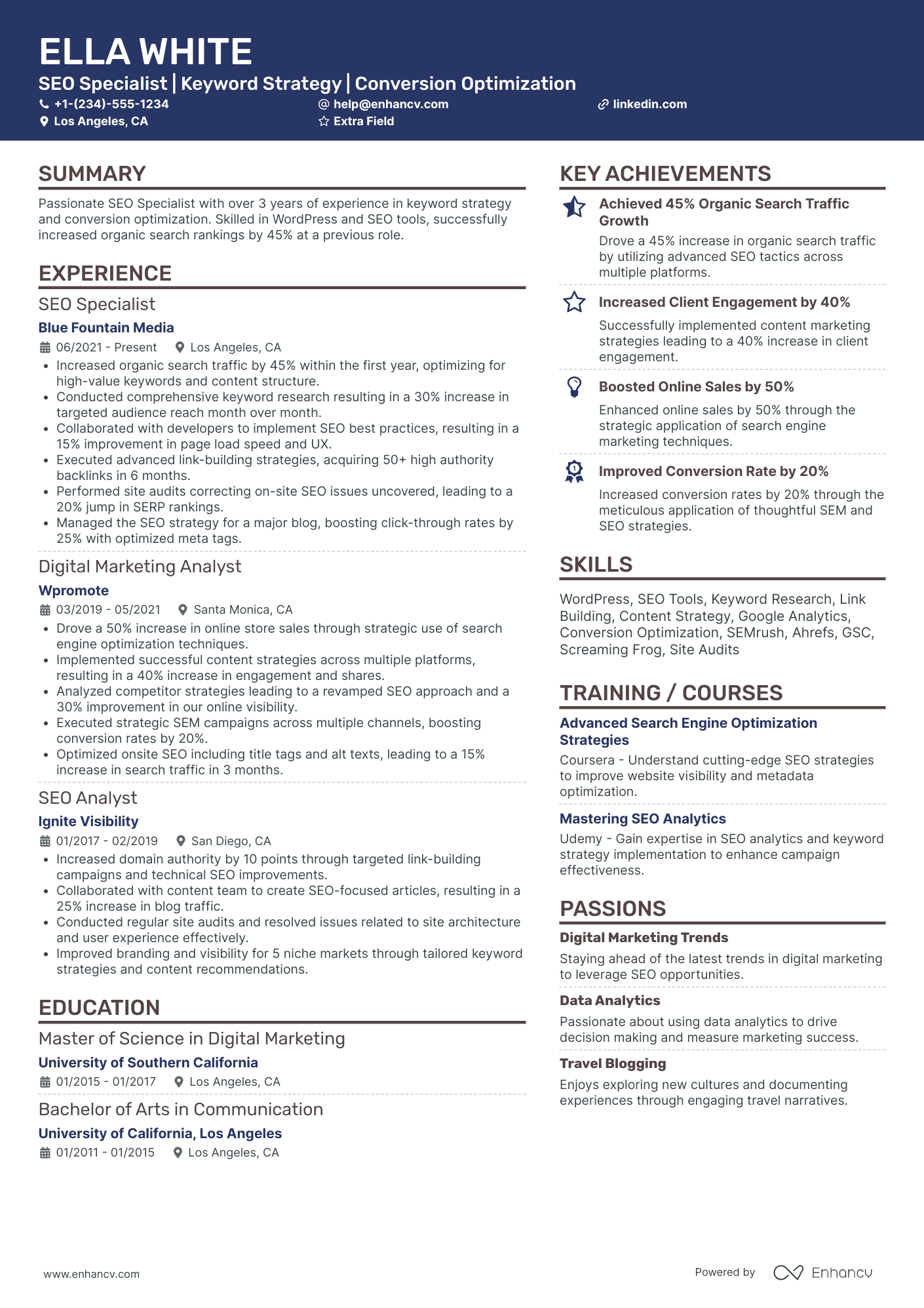 SEO Trainer Resume Example