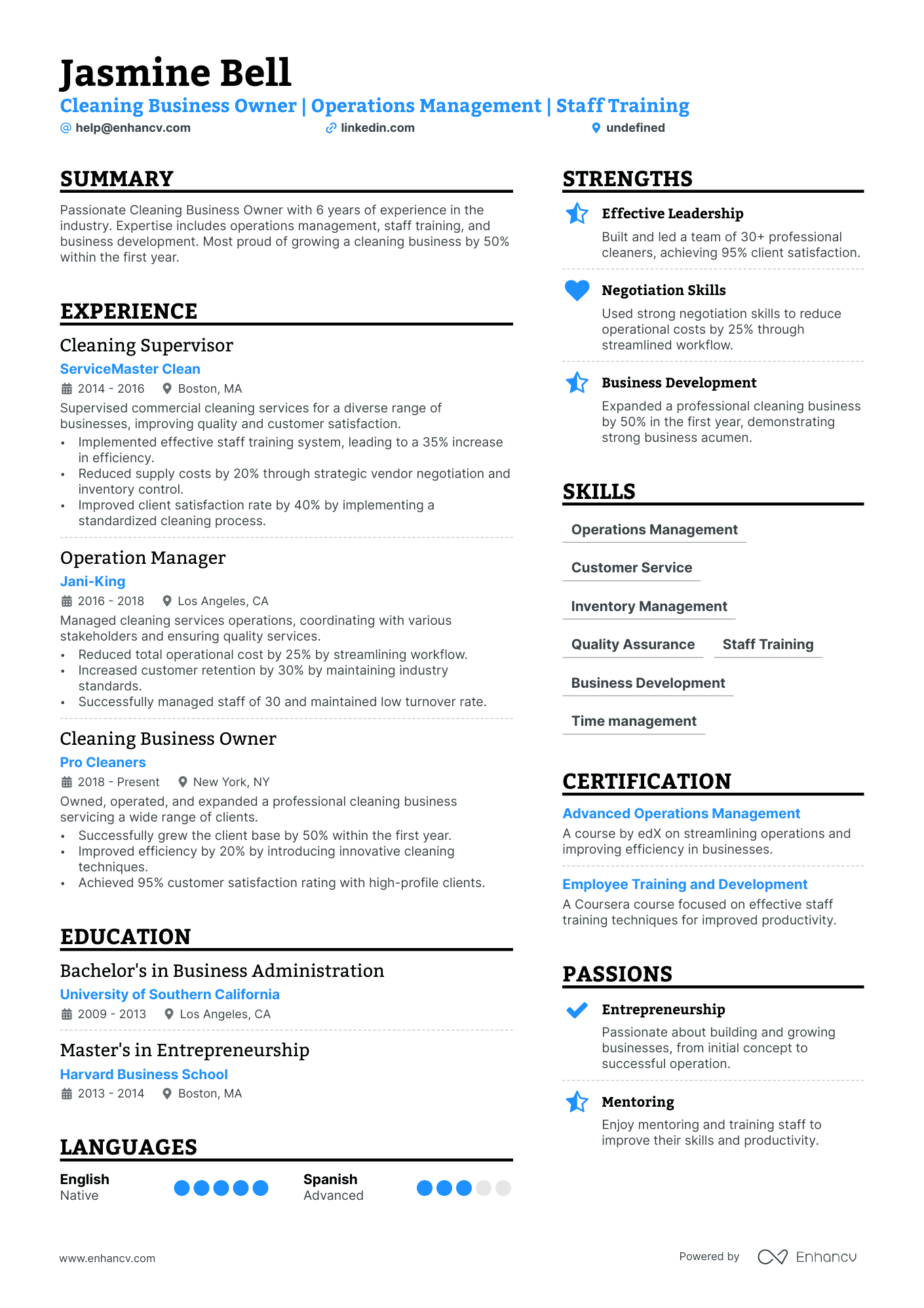 Cleaning Business Owner Resume Example