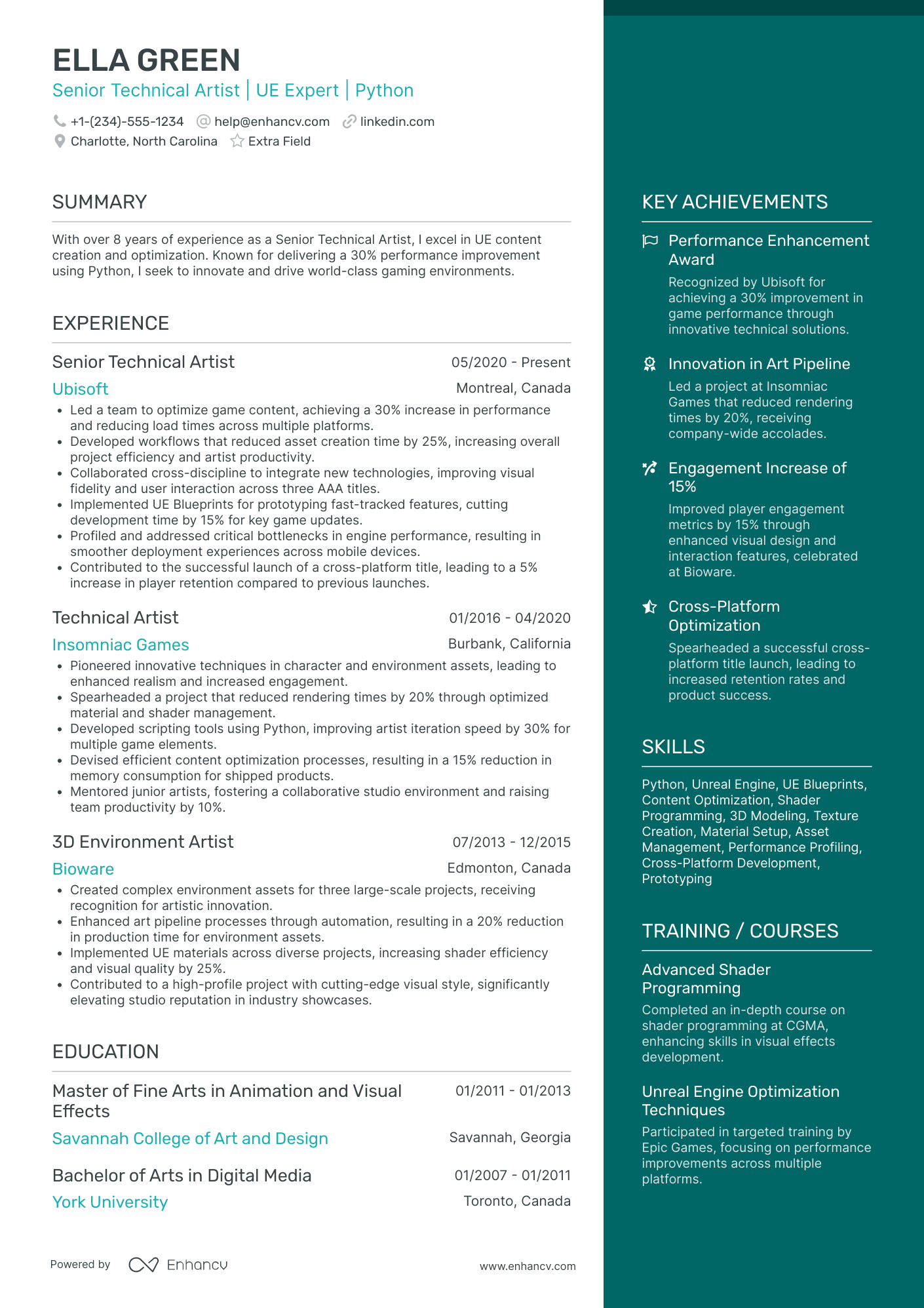 Senior Artist Resume Example