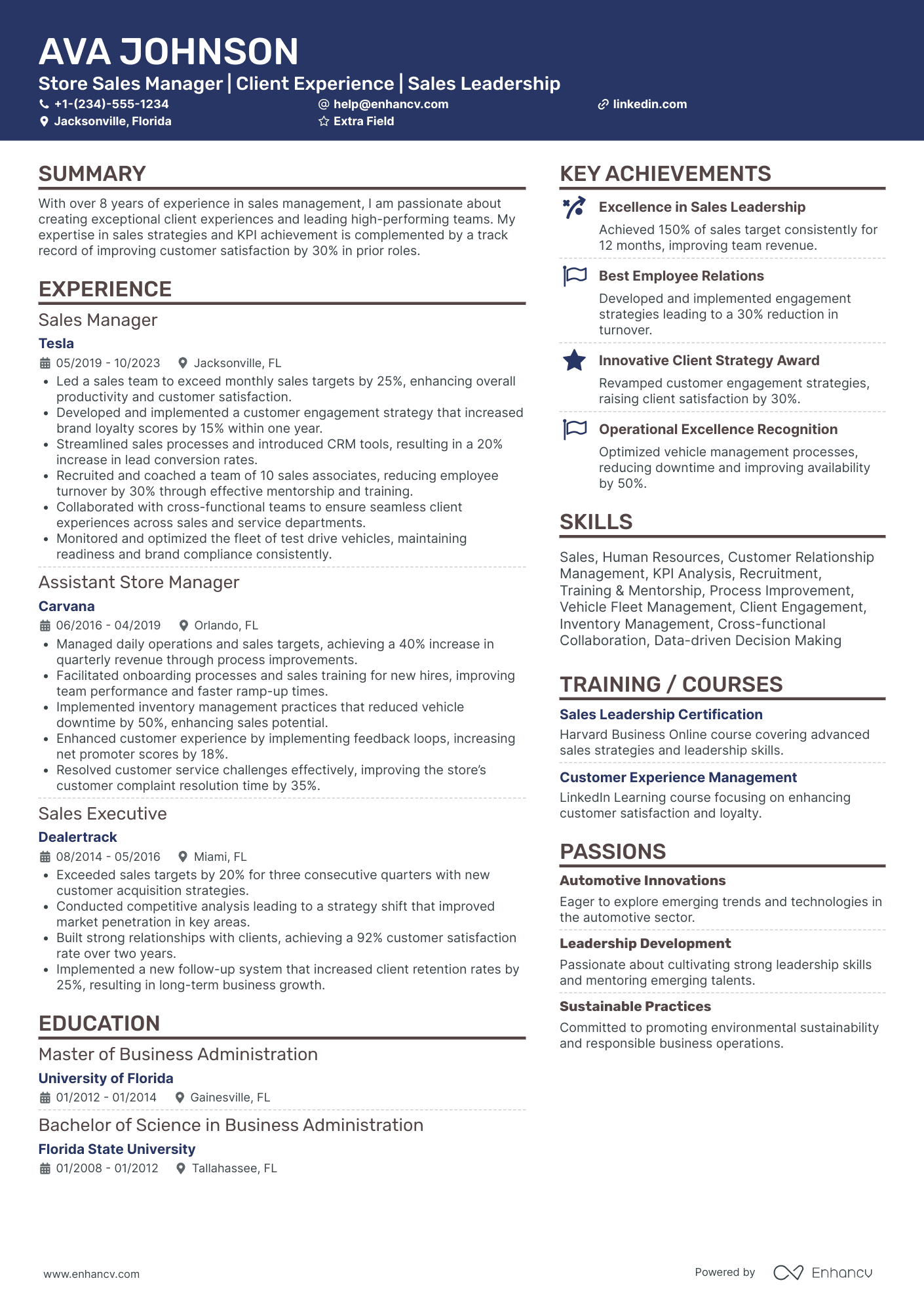 Store Sales Manager Resume Example