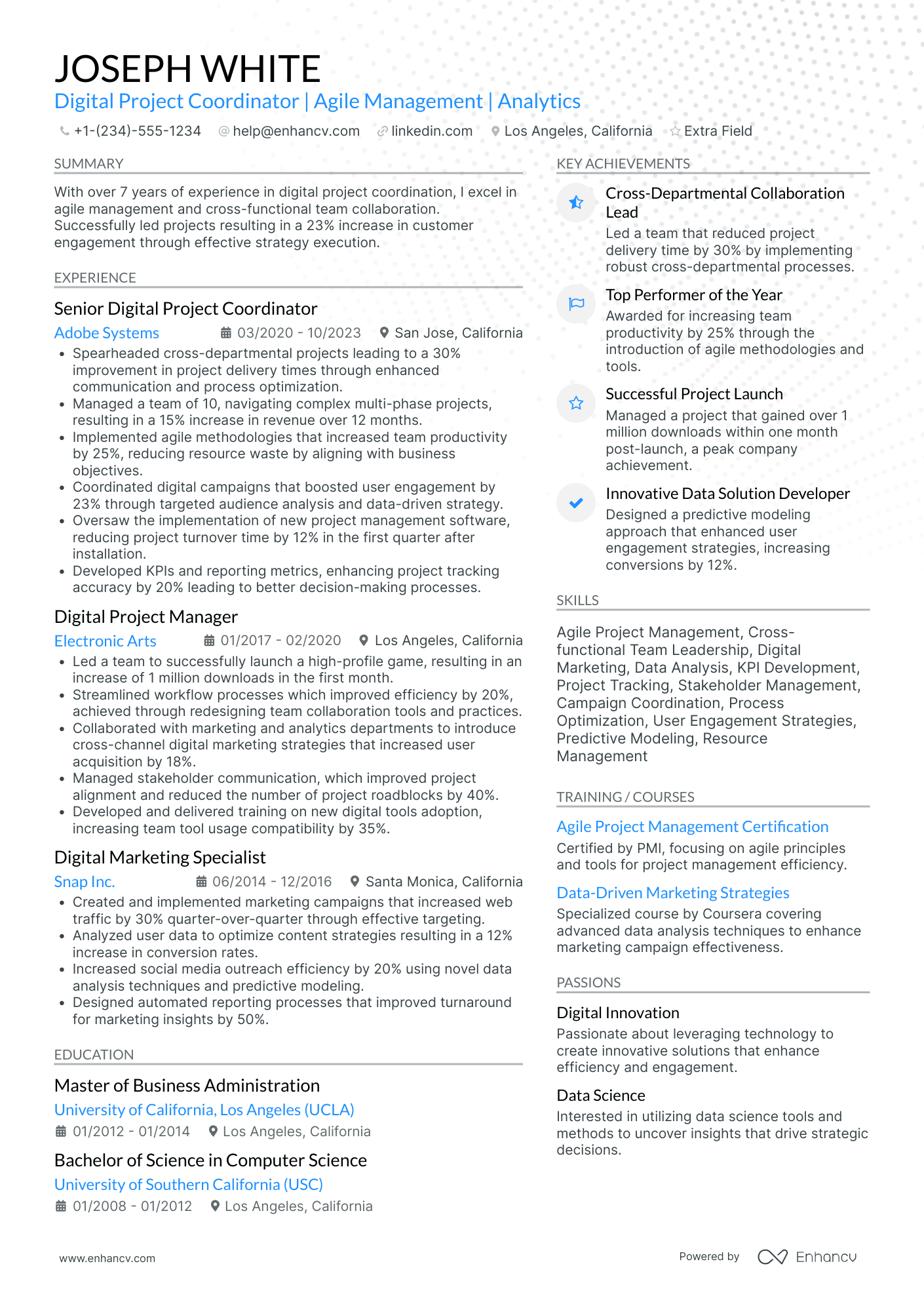 Digital Project Coordinator Resume Example