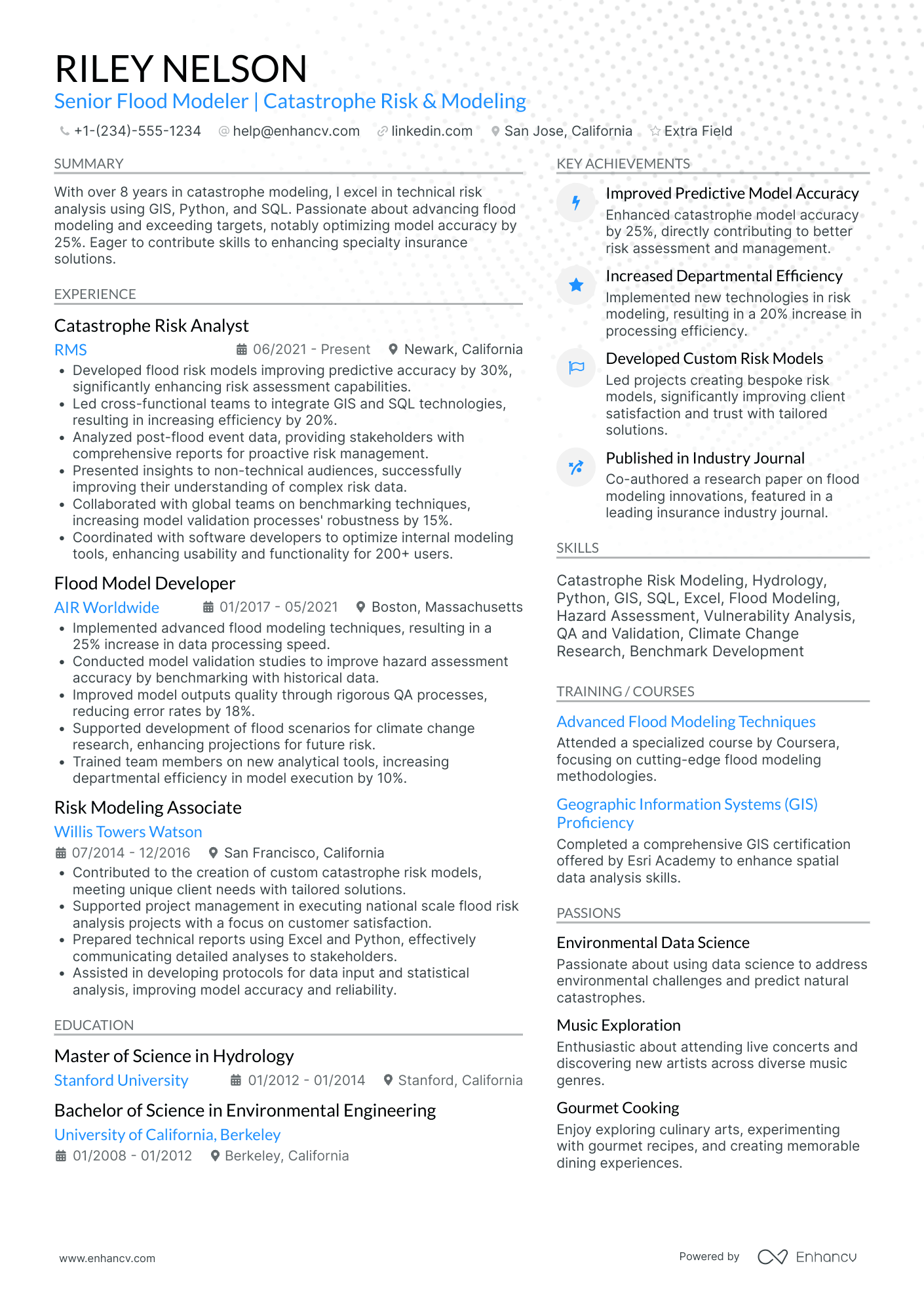 Risk Modeler Resume Example