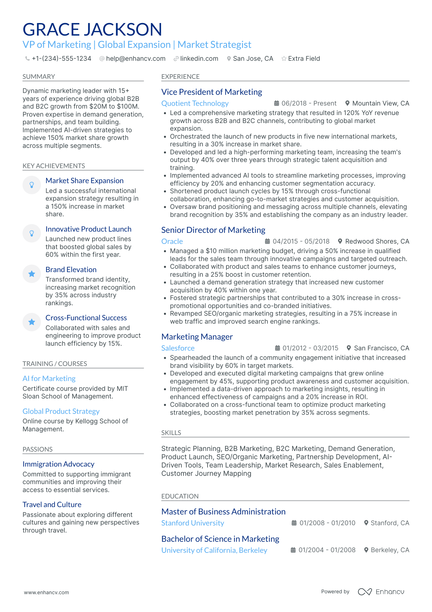 Vice President of Content Marketing Resume Example