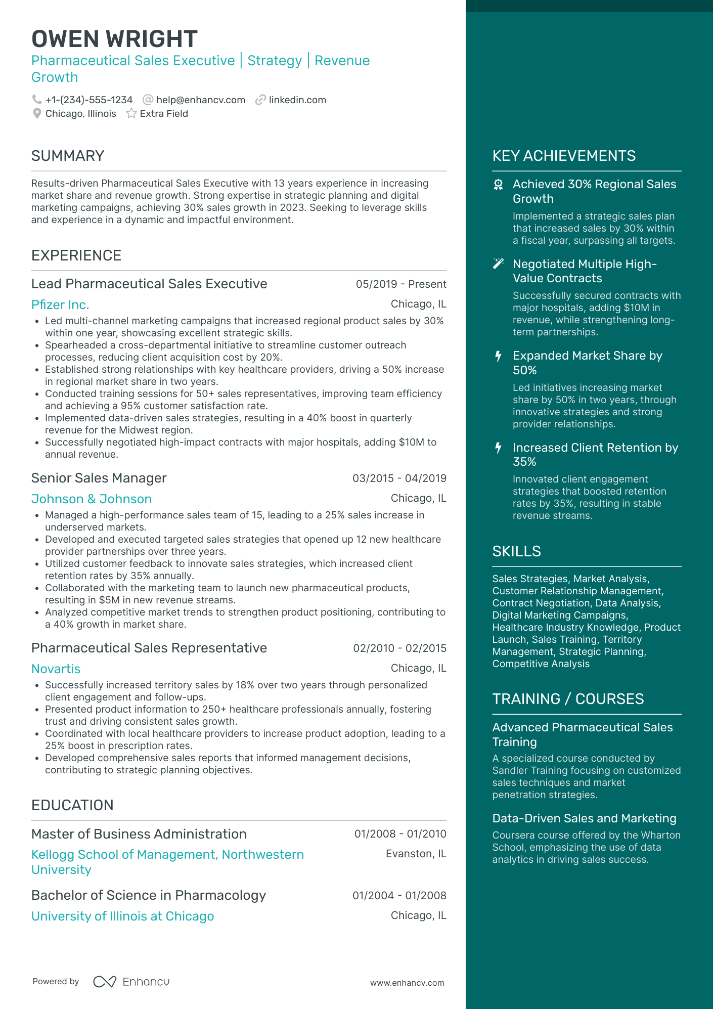 Pharmaceutical Sales Executive Resume Example