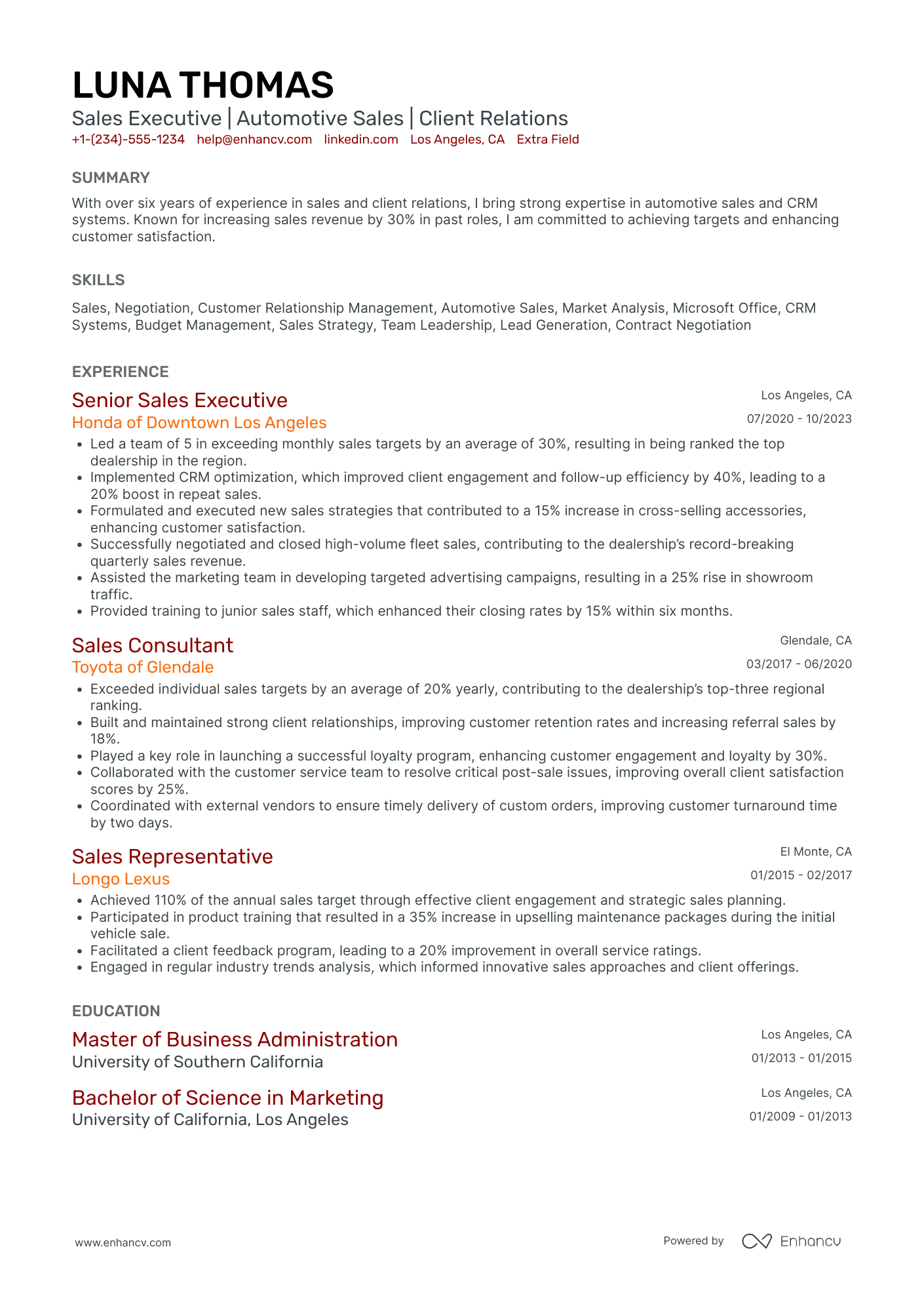 Automotive Sales Executive Resume Example