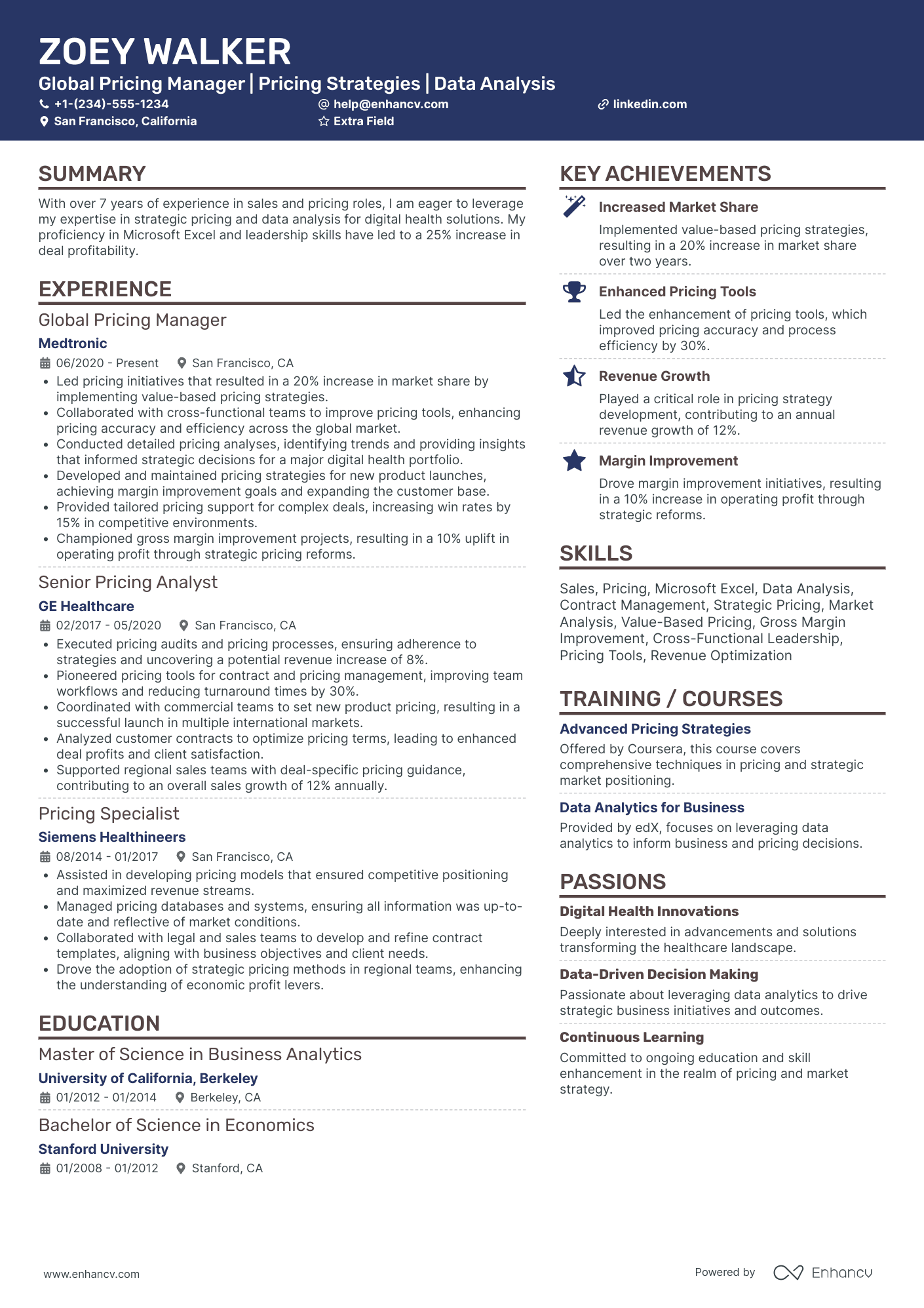 Global Pricing Manager Resume Example