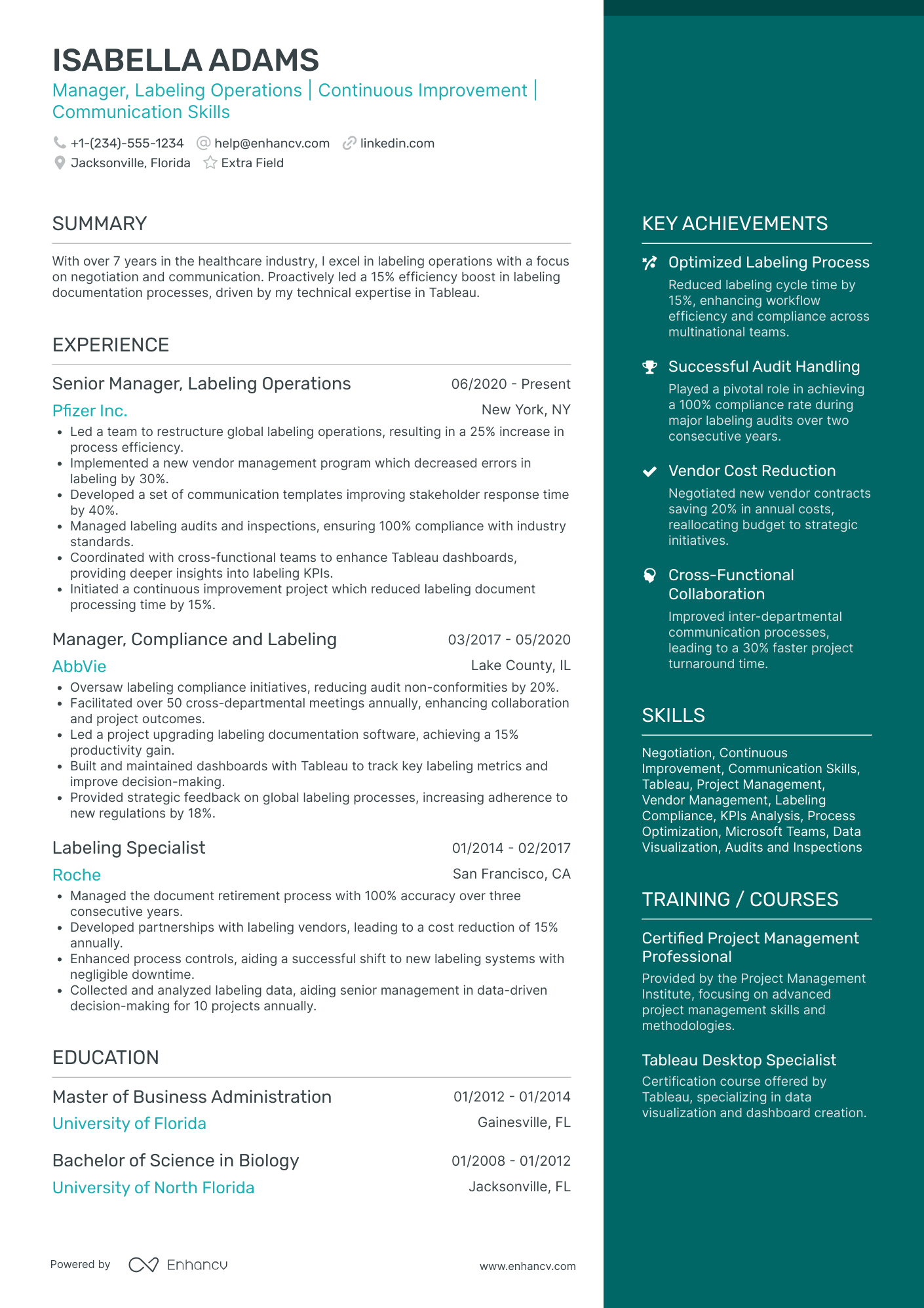 Global Implementation Manager Resume Example