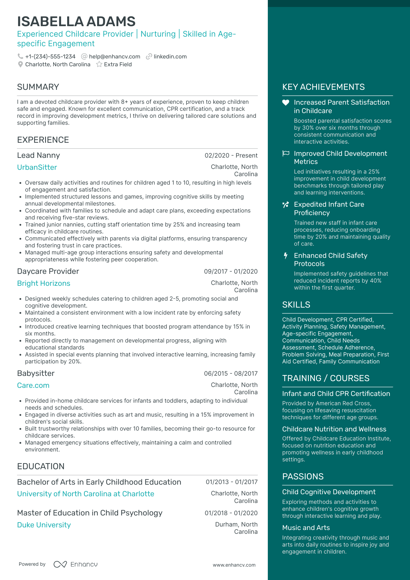 Emergency Babysitter Resume Example