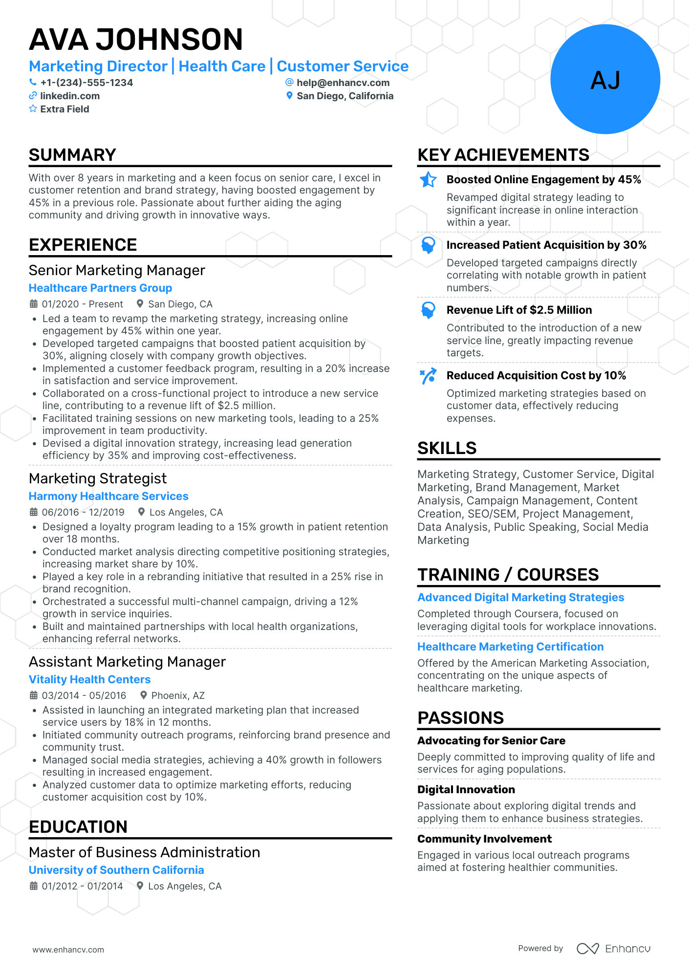 Marketing Director, Market Segmentation Resume Example