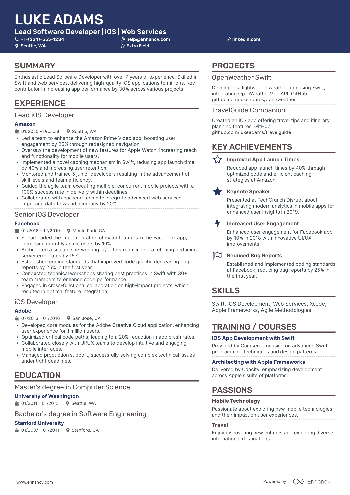 Lead Software Developer Resume Example