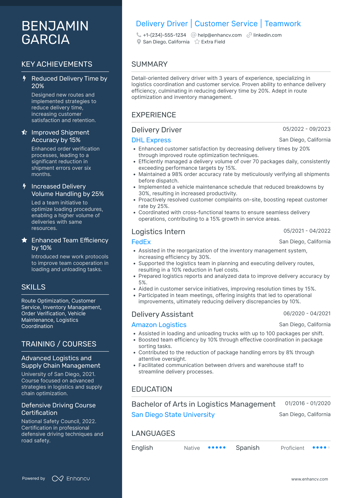 Junior Delivery Driver Resume Example