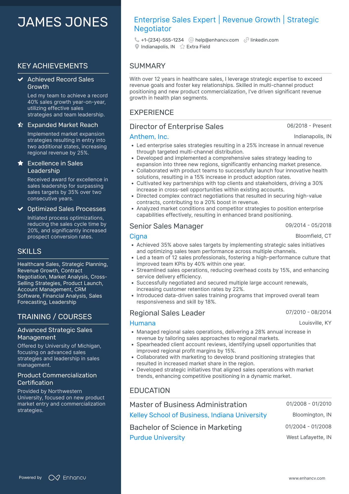 Enterprise Sales Director Resume Example