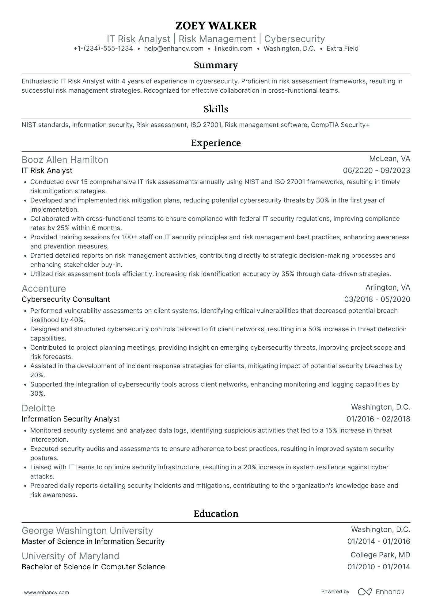 IT Risk Manager Resume Example