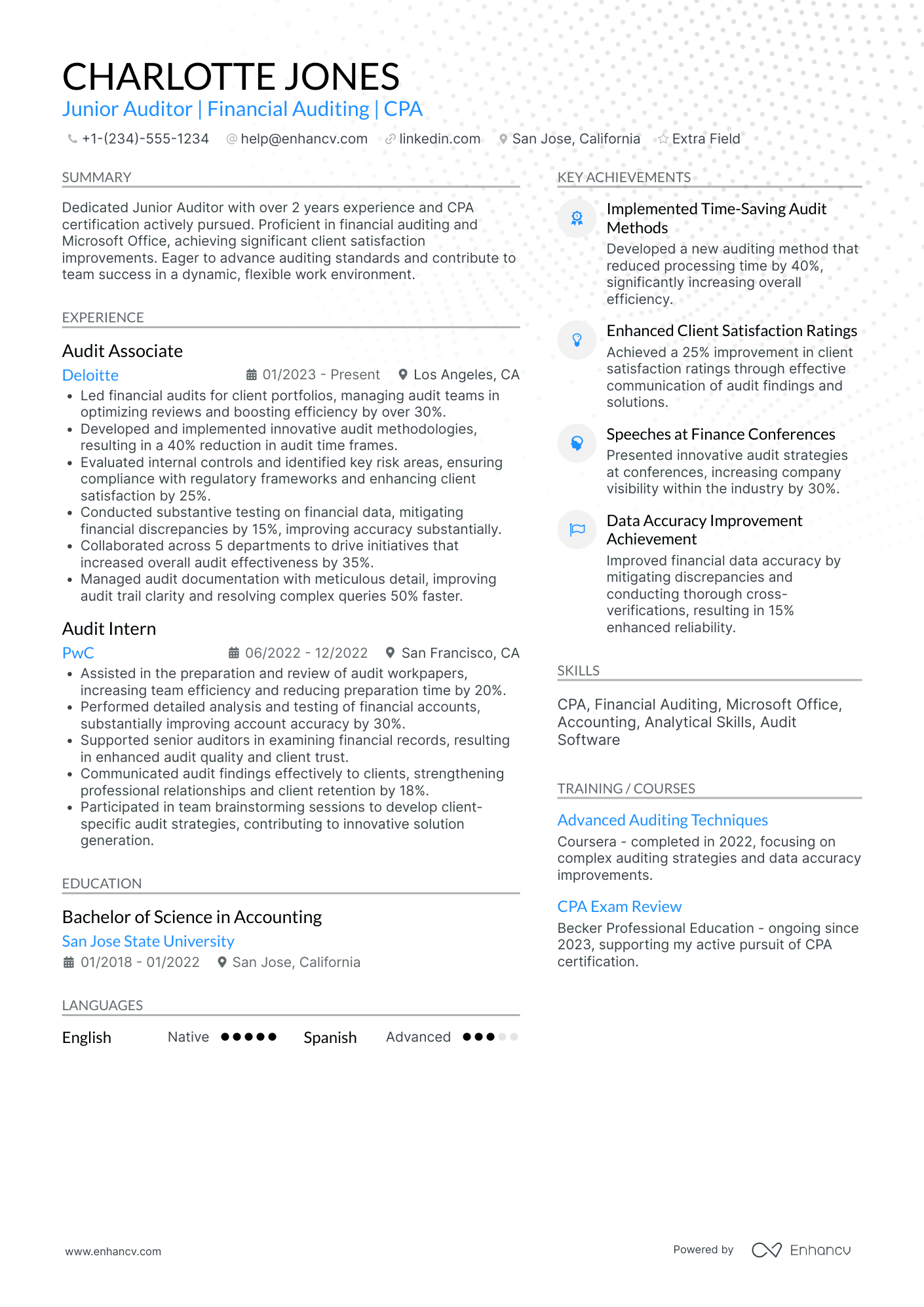 Junior Auditor Resume Example