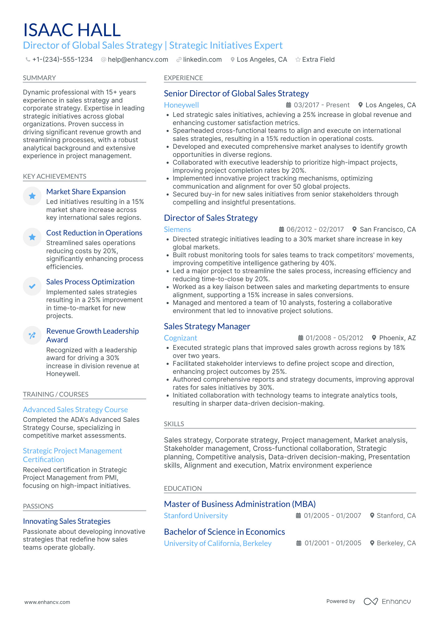 Global Sales Director Resume Example