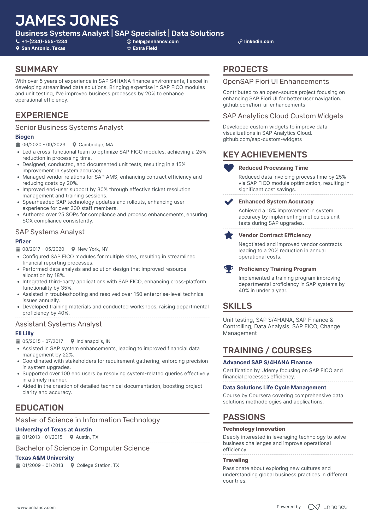 Salesforce System Analyst Resume Example