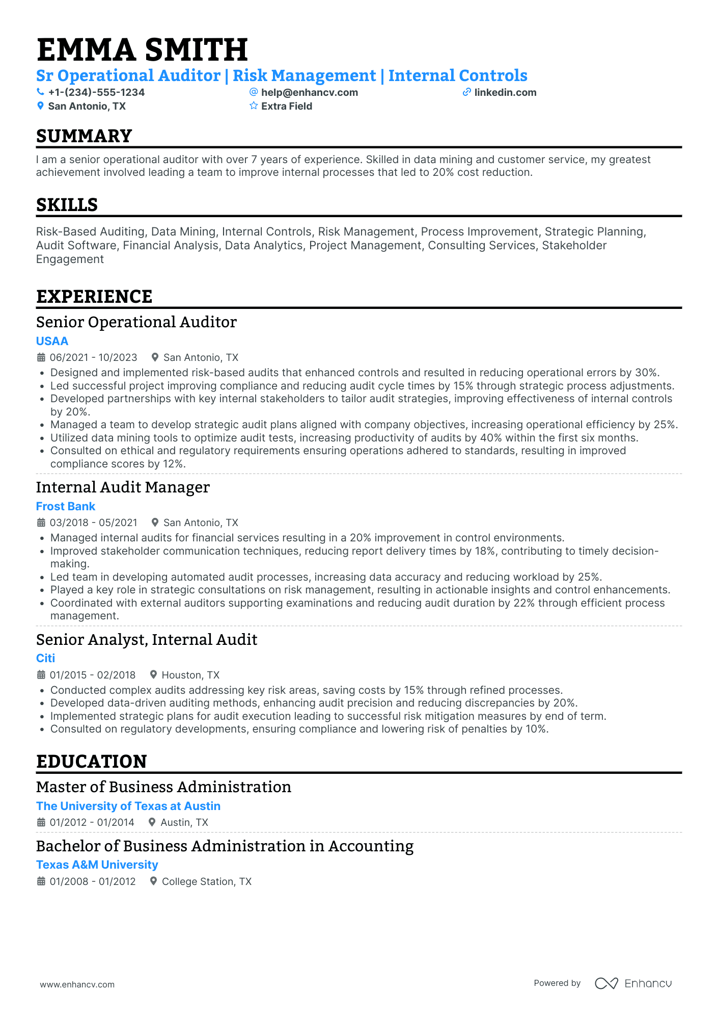 Operational Auditor Resume Example