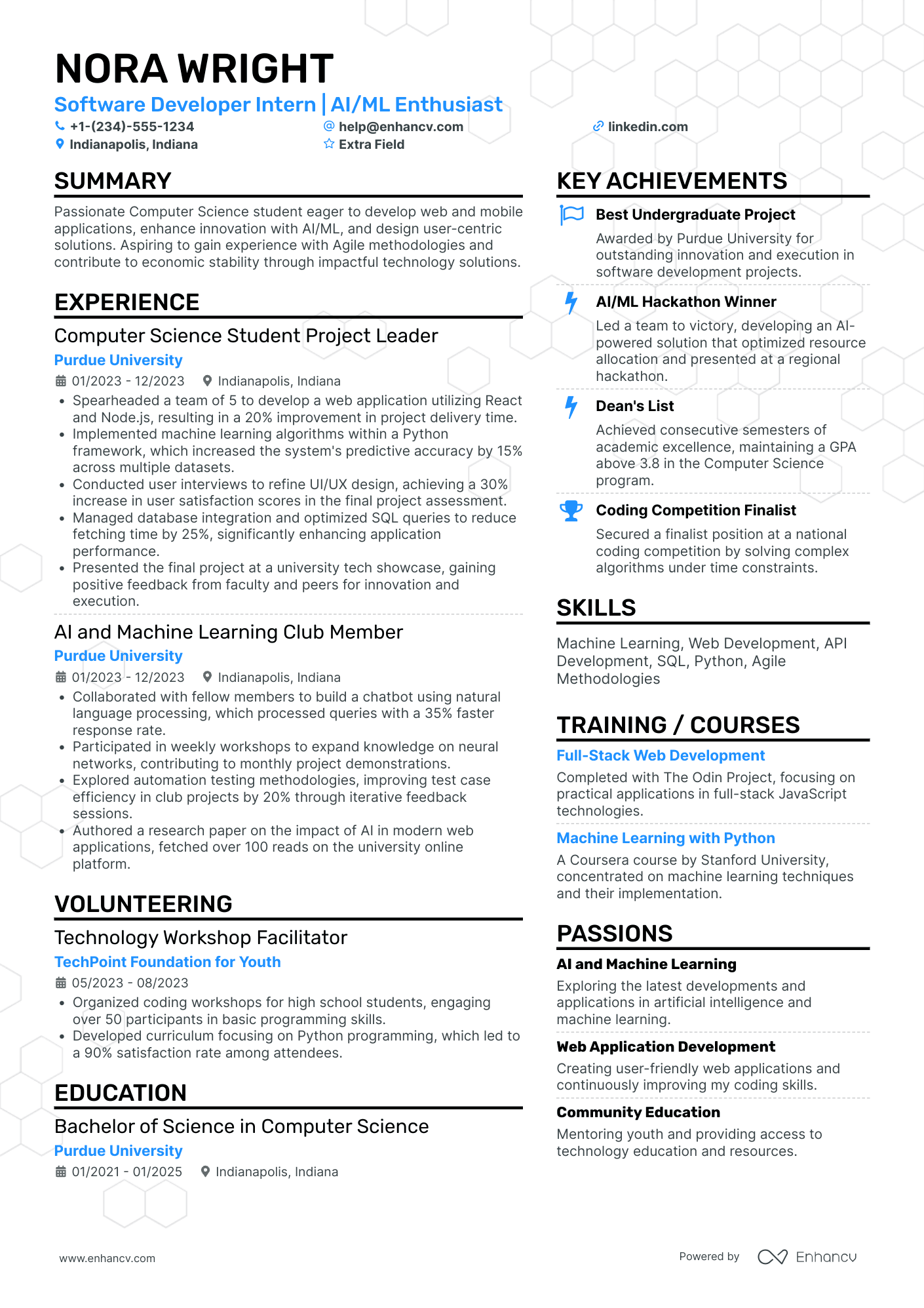 IT Software Developer Intern Resume Example