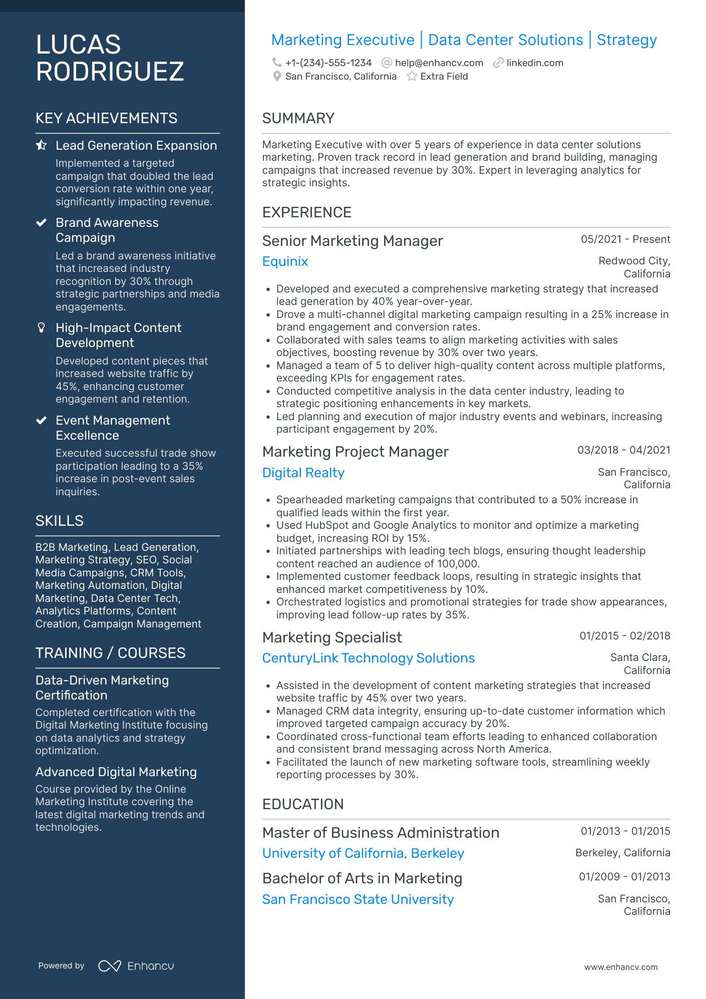 Email Marketing Executive Resume Example