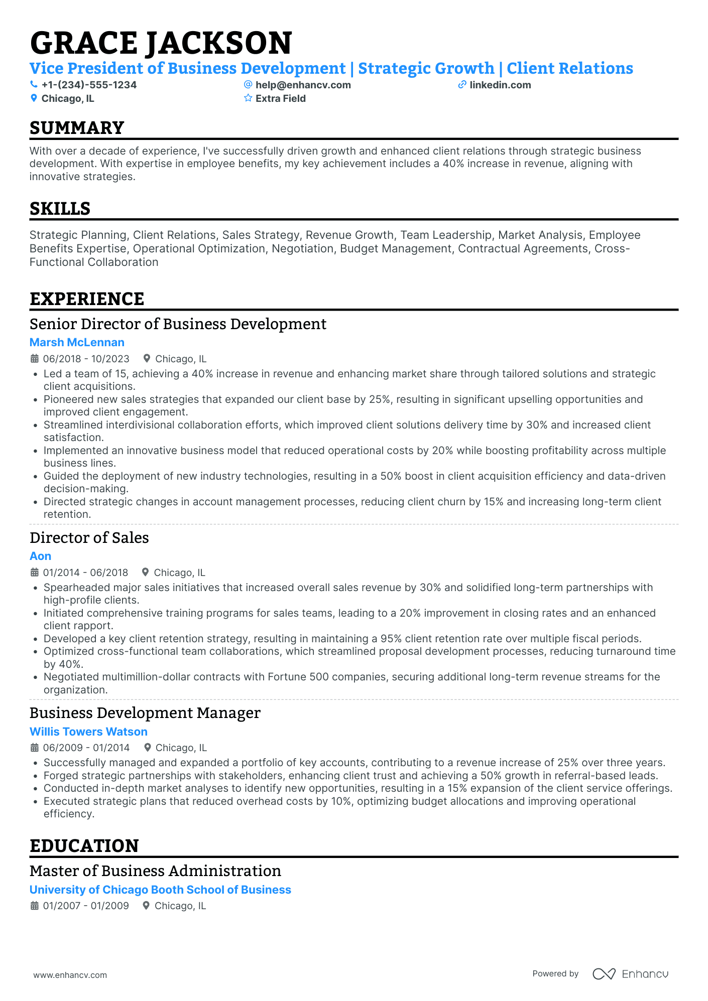 Vice President of Business Development Resume Example