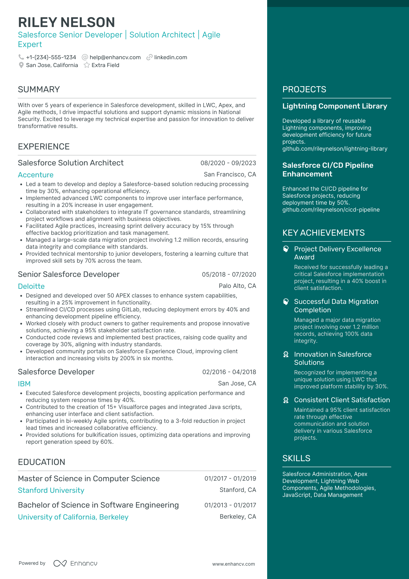 Salesforce Developer Architect Resume Example