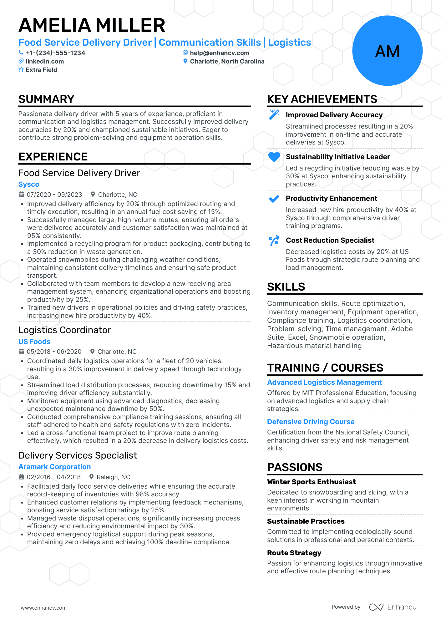 Food Service Delivery Driver Resume Example