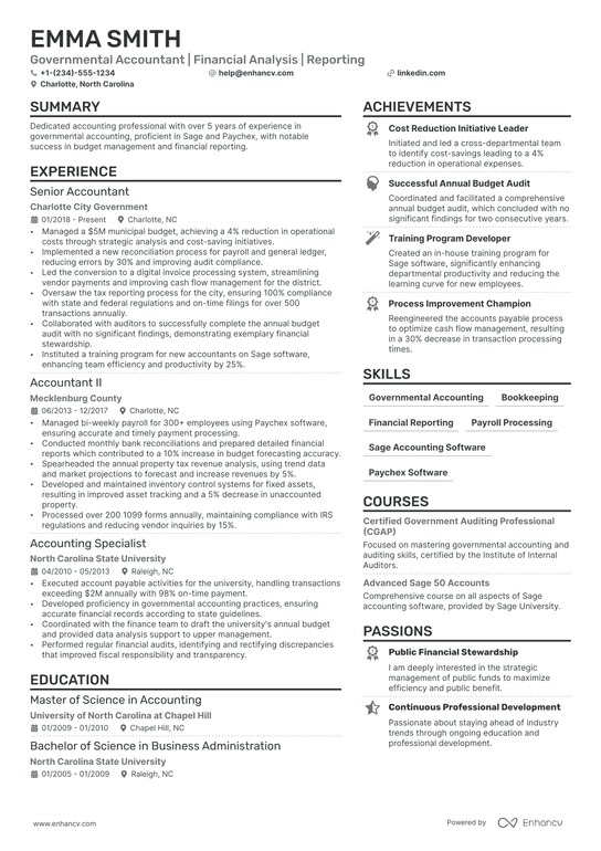 Government Accounting Resume Example
