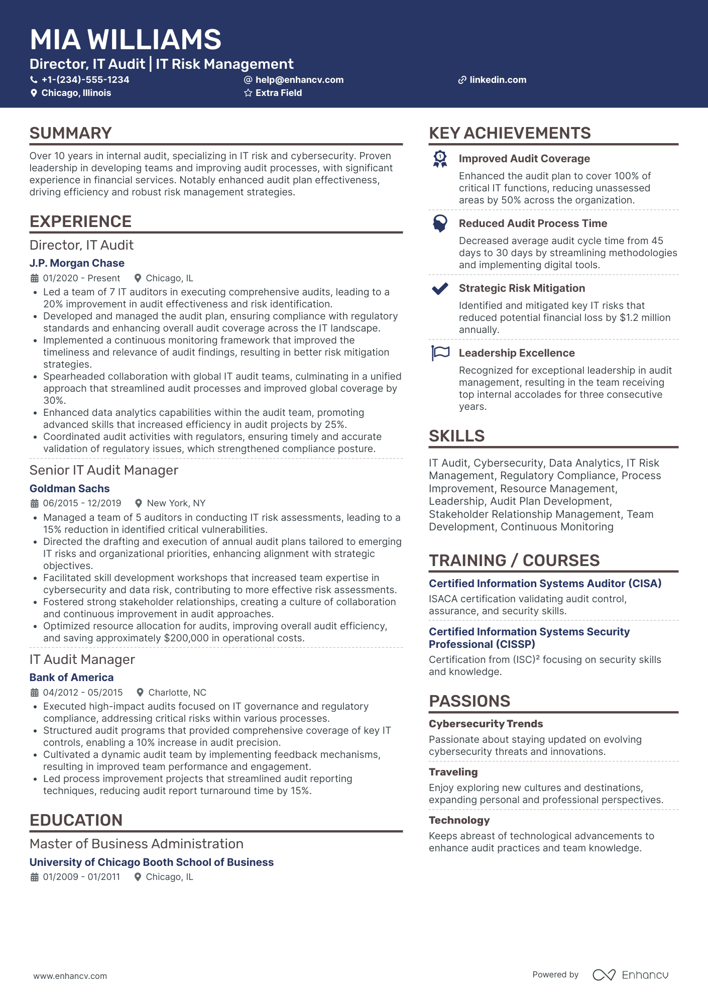 IT Audit Director Resume Example