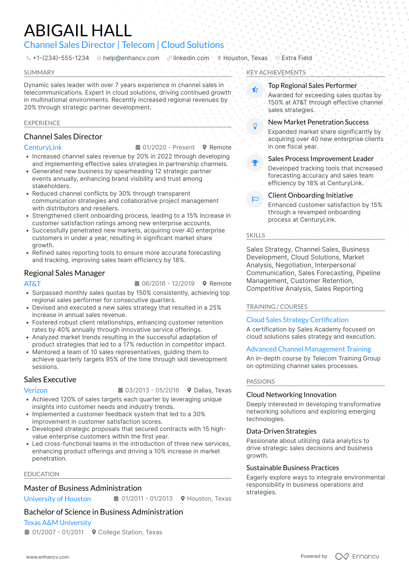 Channel Sales Director Resume Example