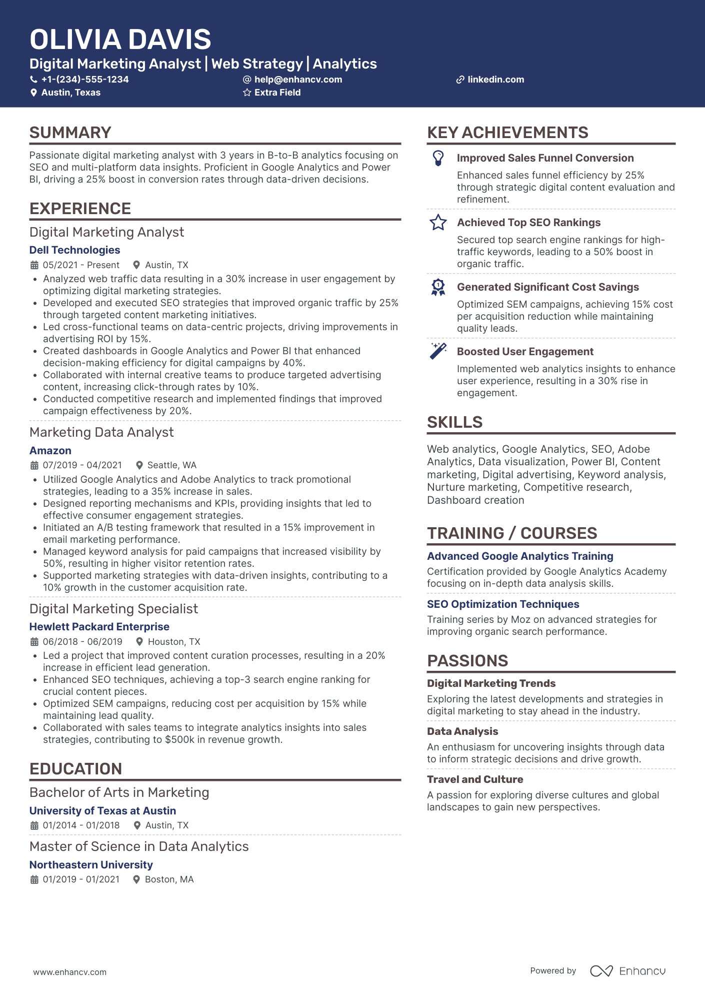 Digital Marketing Performance Analyst Resume Example