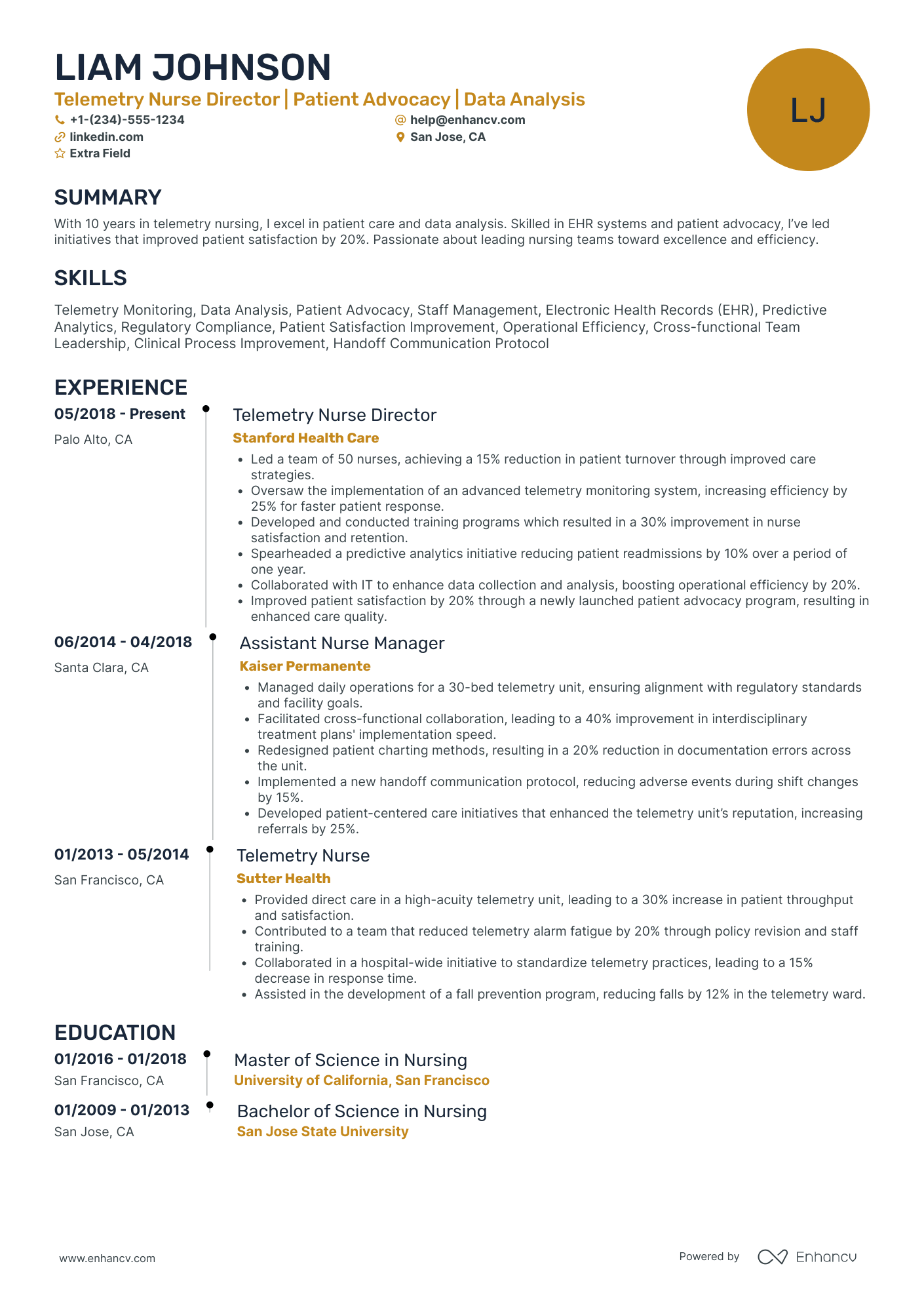 Telemetry Nurse Director Resume Example