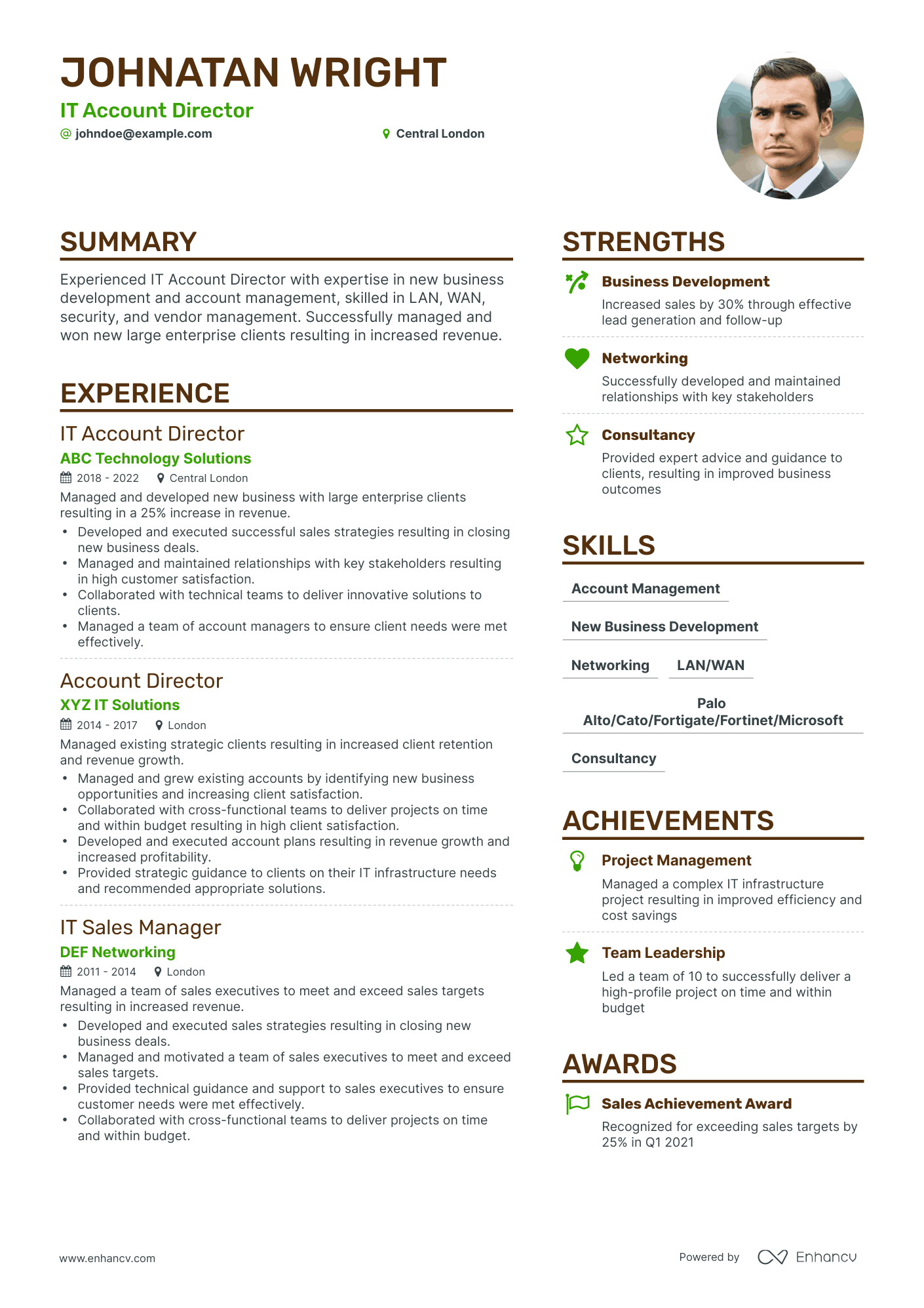 Account Director Resume Example