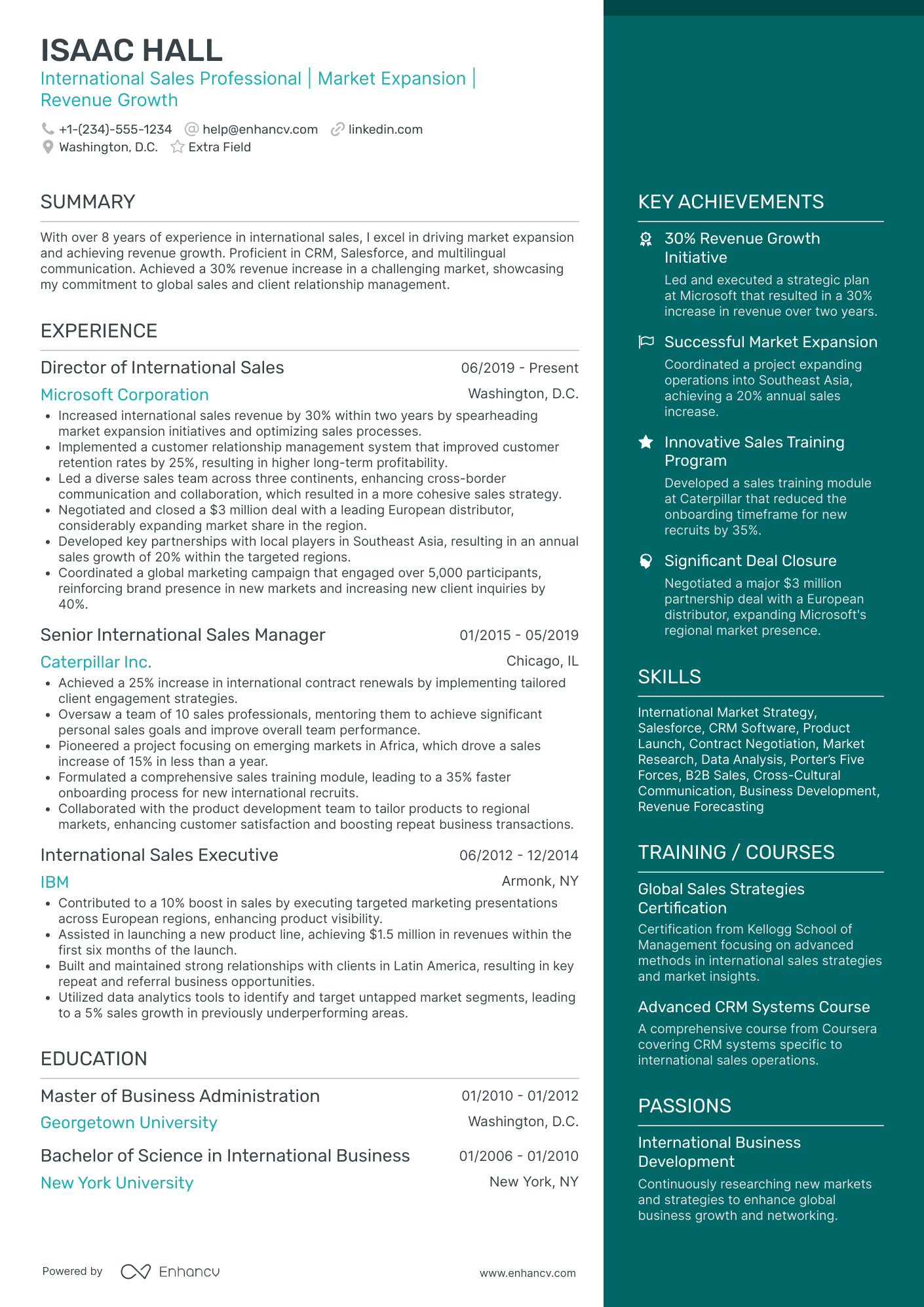 International Sales Professional Resume Example