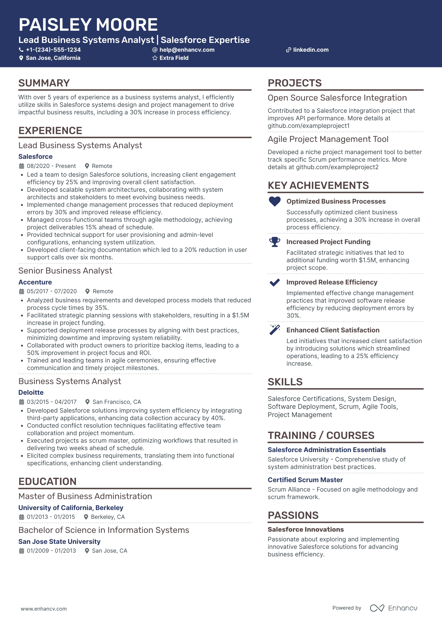 Lead Salesforce Business Analyst Resume Example