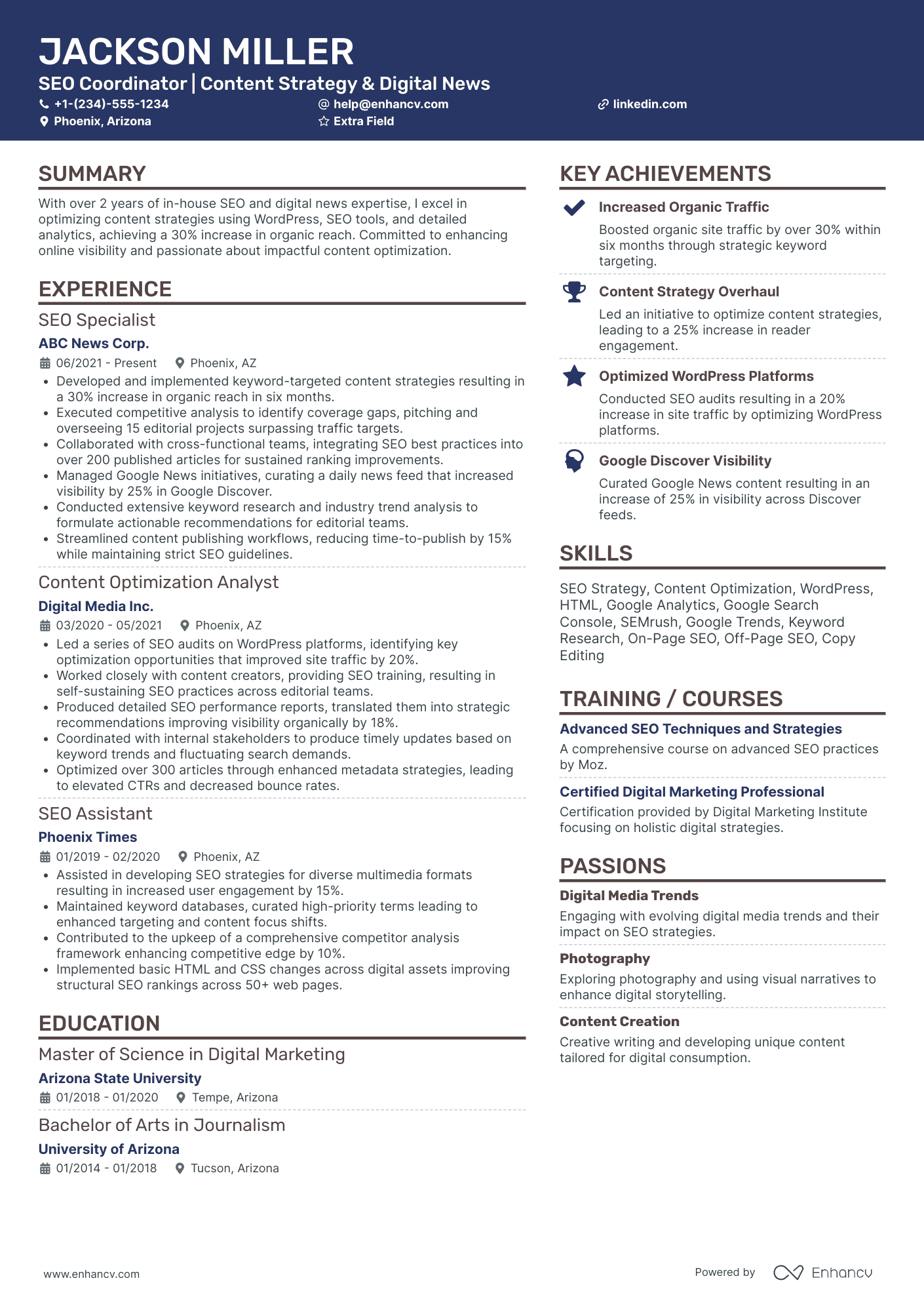 SEO Brand Coordinator Resume Example