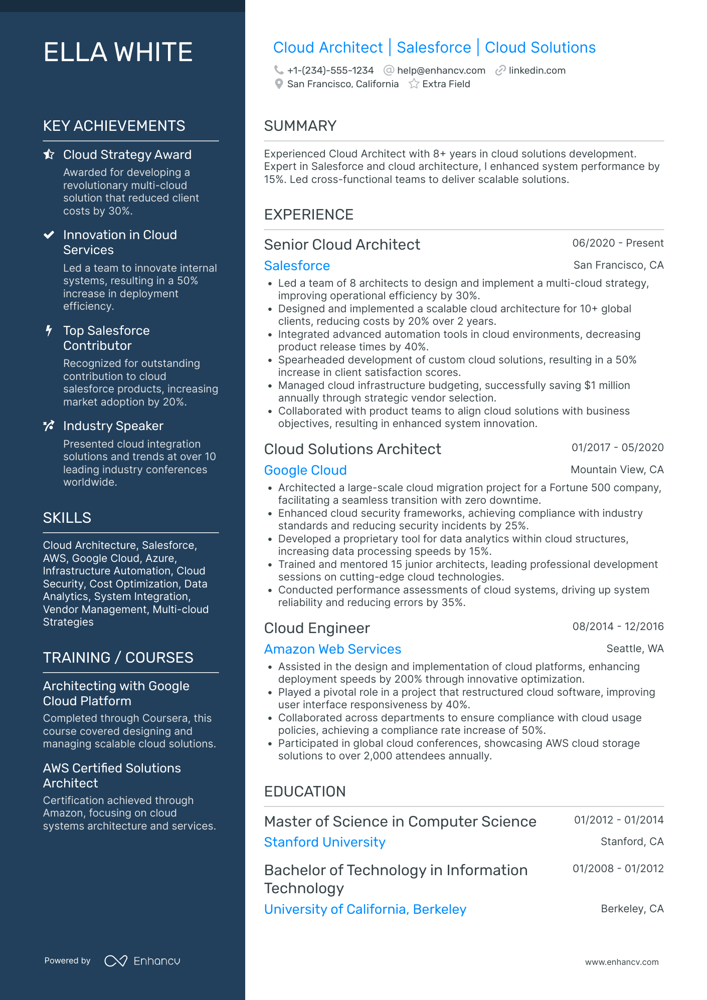 Entry Level Salesforce Developer Resume Example