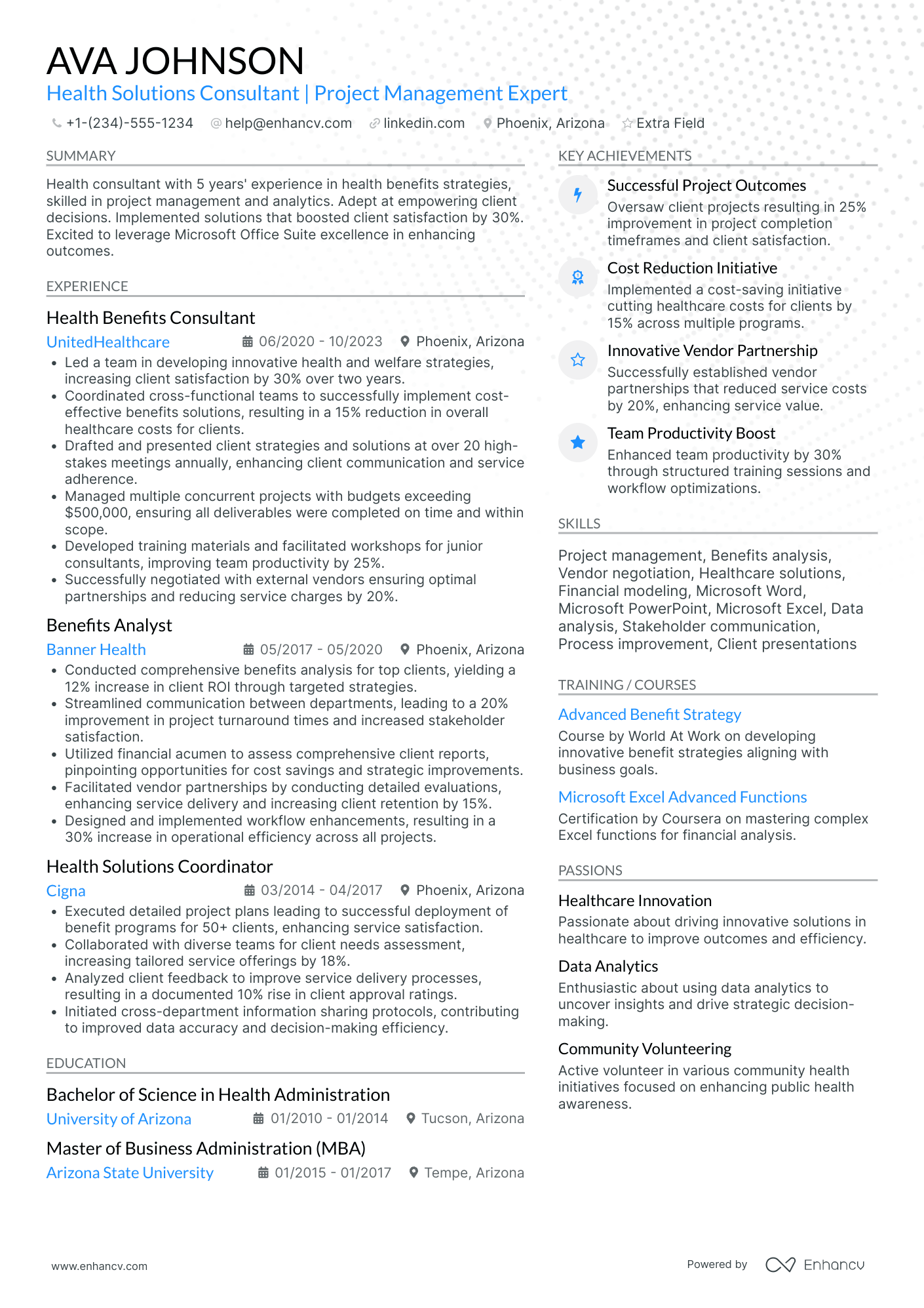 Healthcare IT Consultant Resume Example