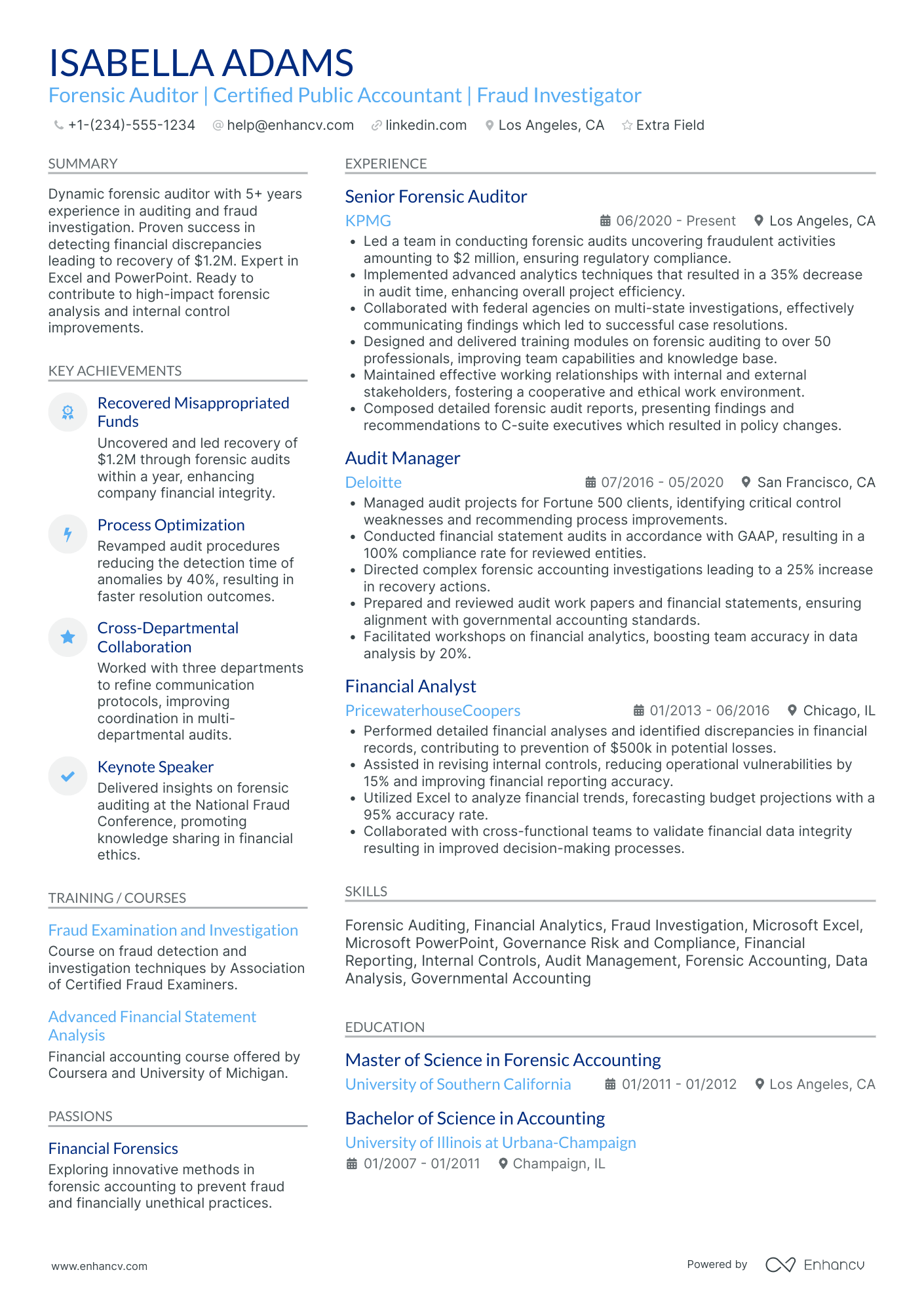 Forensic Auditor Resume Example