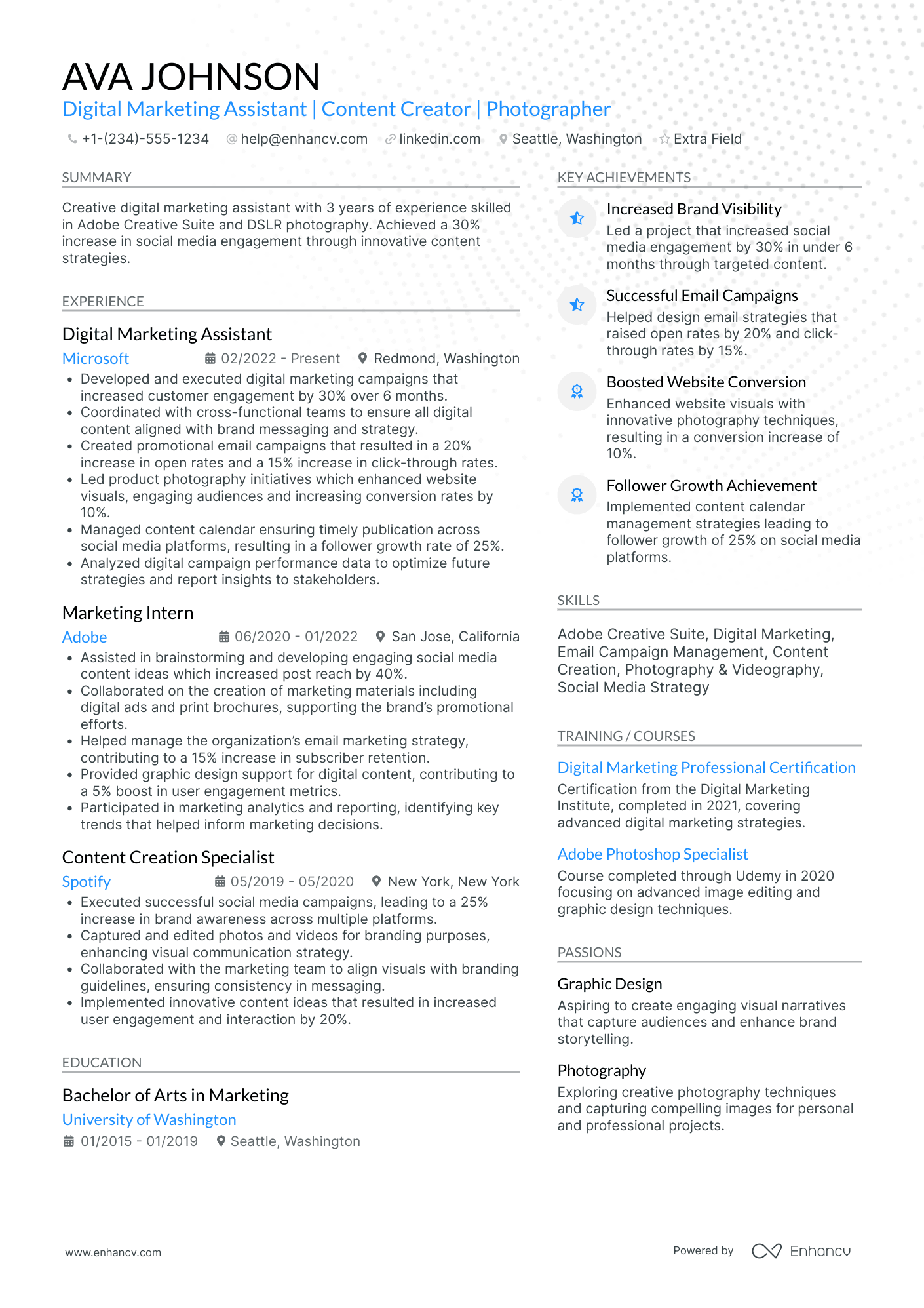 Digital Marketing Assistant Resume Example