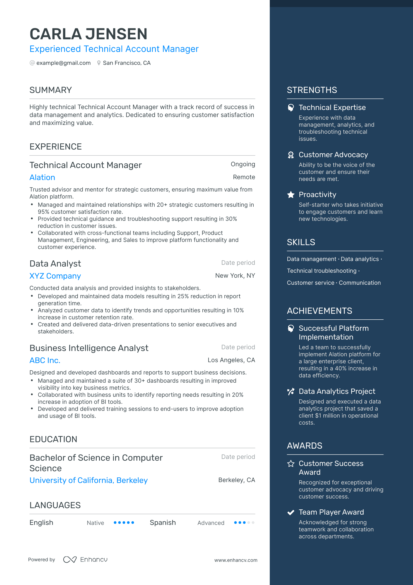 Technical Account Manager Resume Example