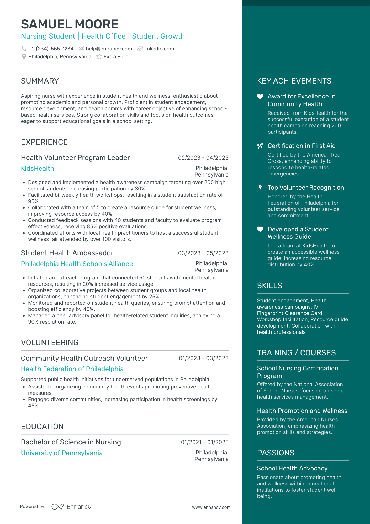 Nursing Student Preceptorship Resume Example