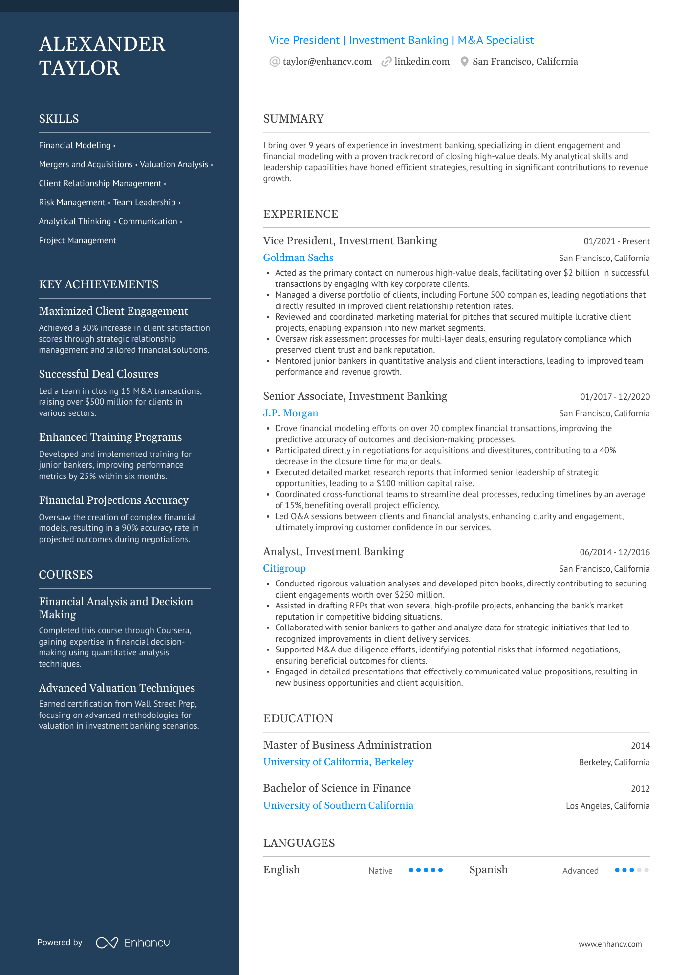 Investment Banking Vice President Resume Example