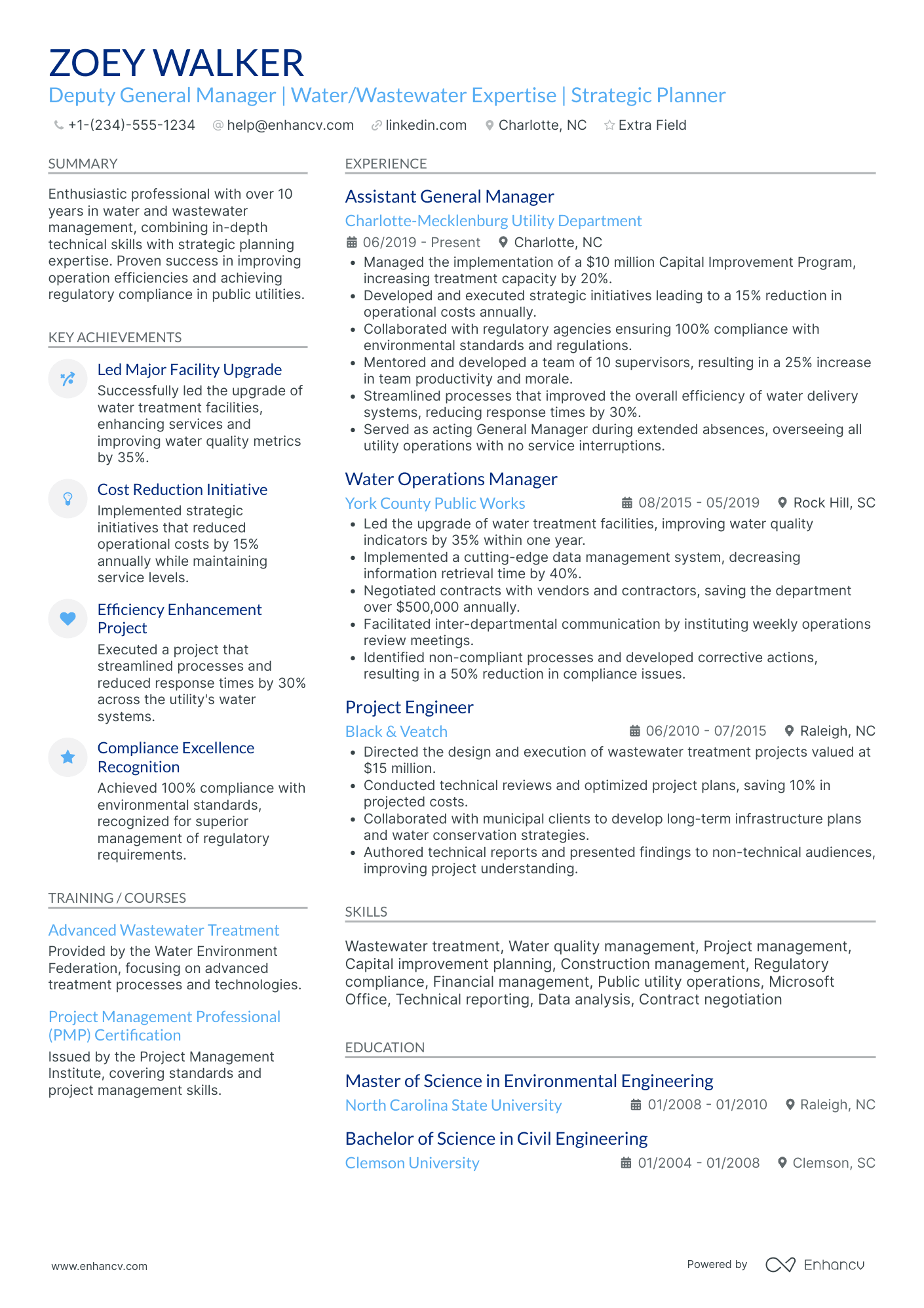 Deputy General Manager Resume Example