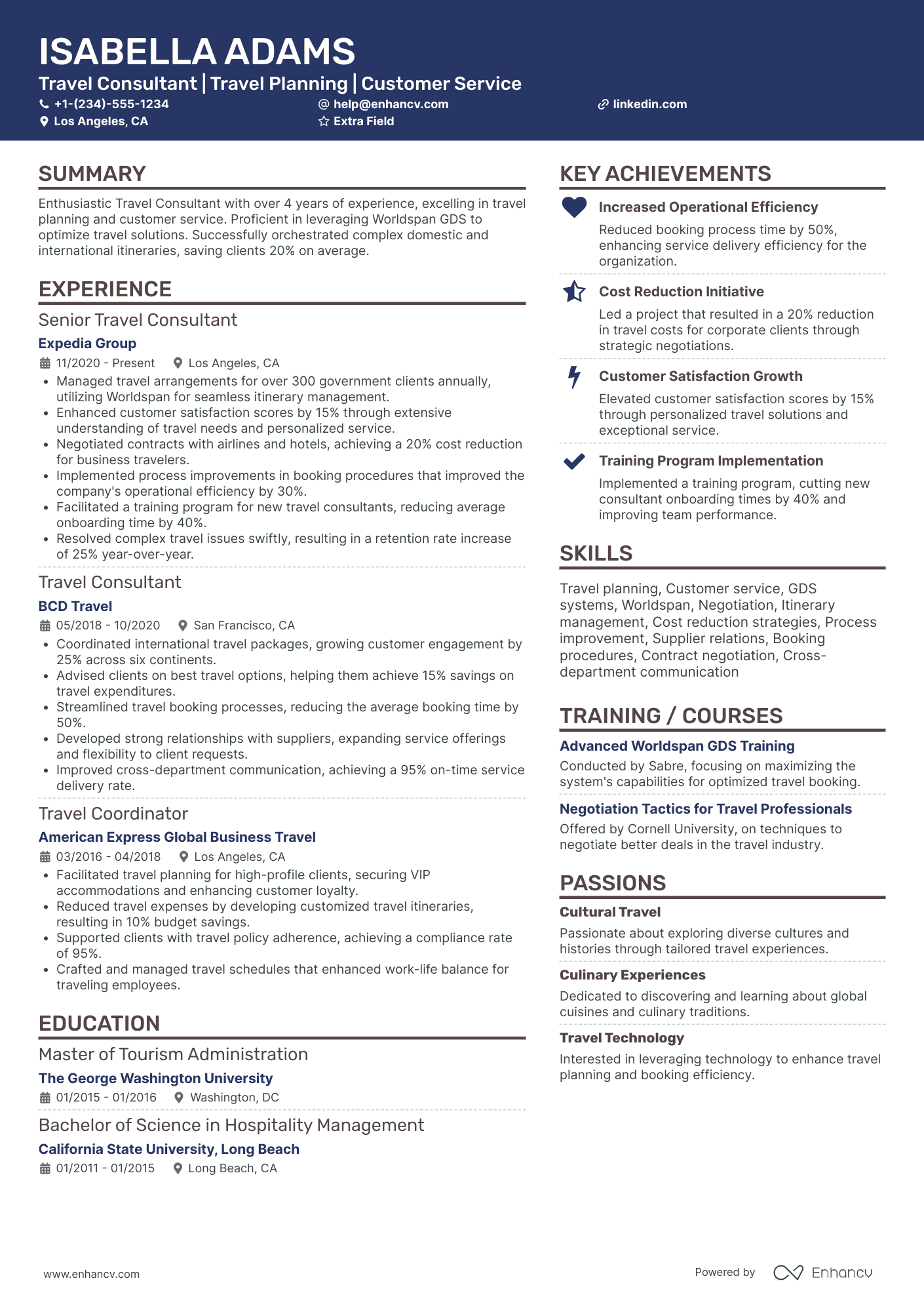 Executive Travel Consultant Resume Example