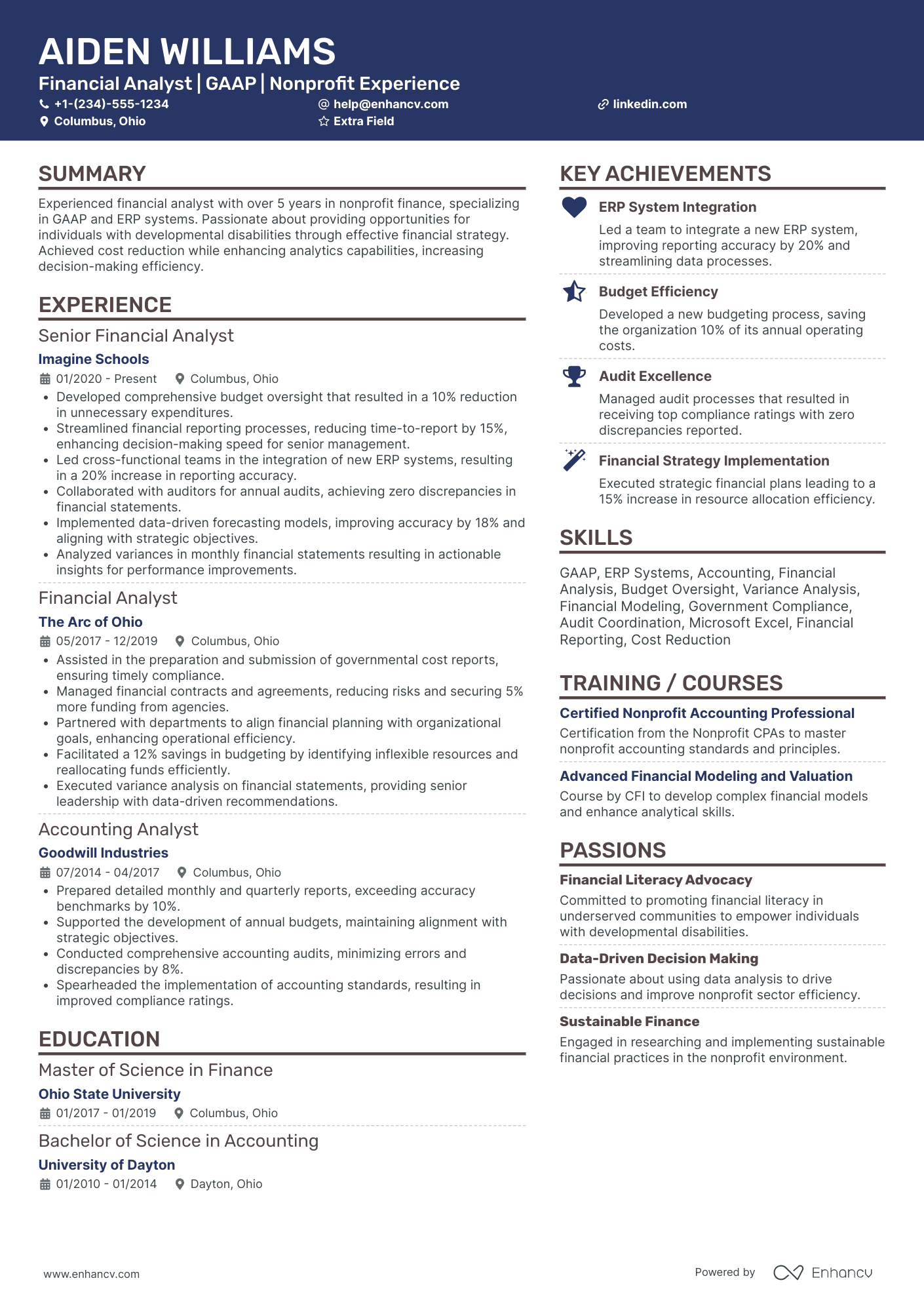 Non Profit Financial Analyst Resume Example