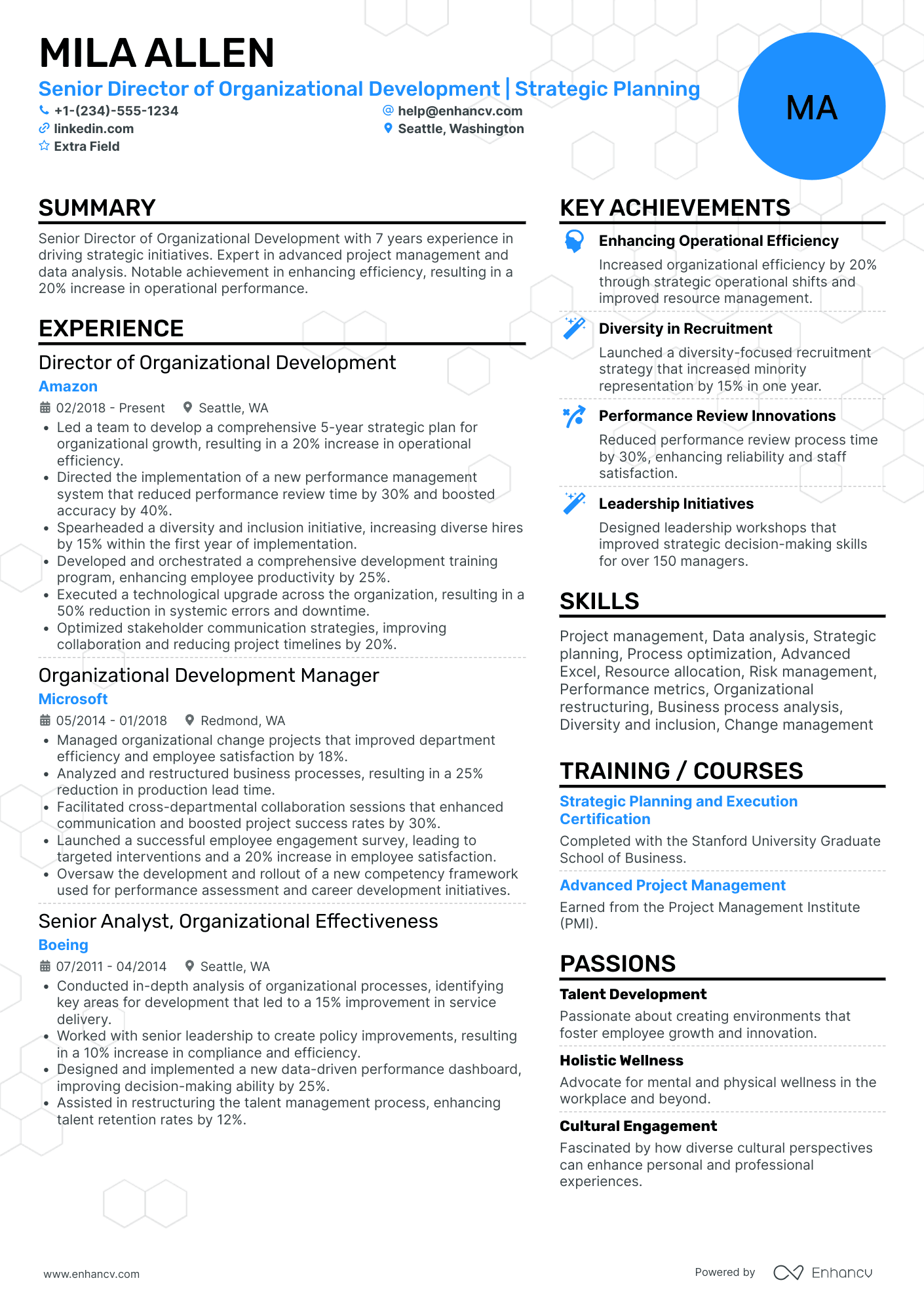 Senior Executive Director Resume Example