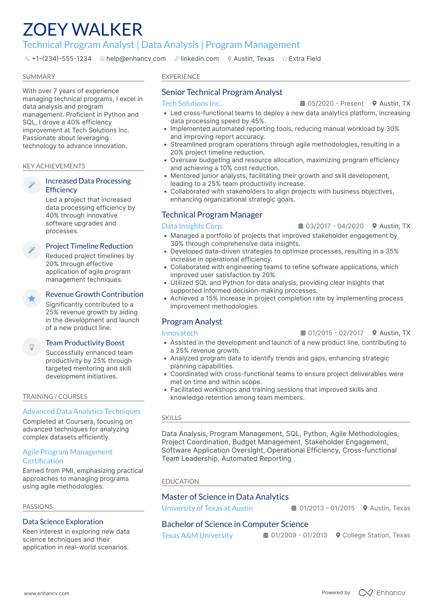 Technical Program Analyst Resume Example